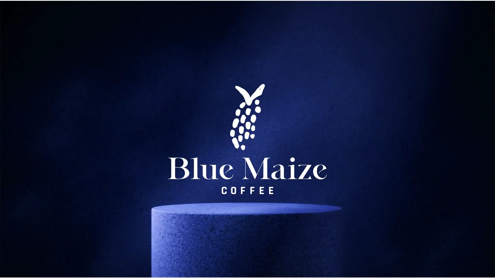 BLUE MAIZE.webp