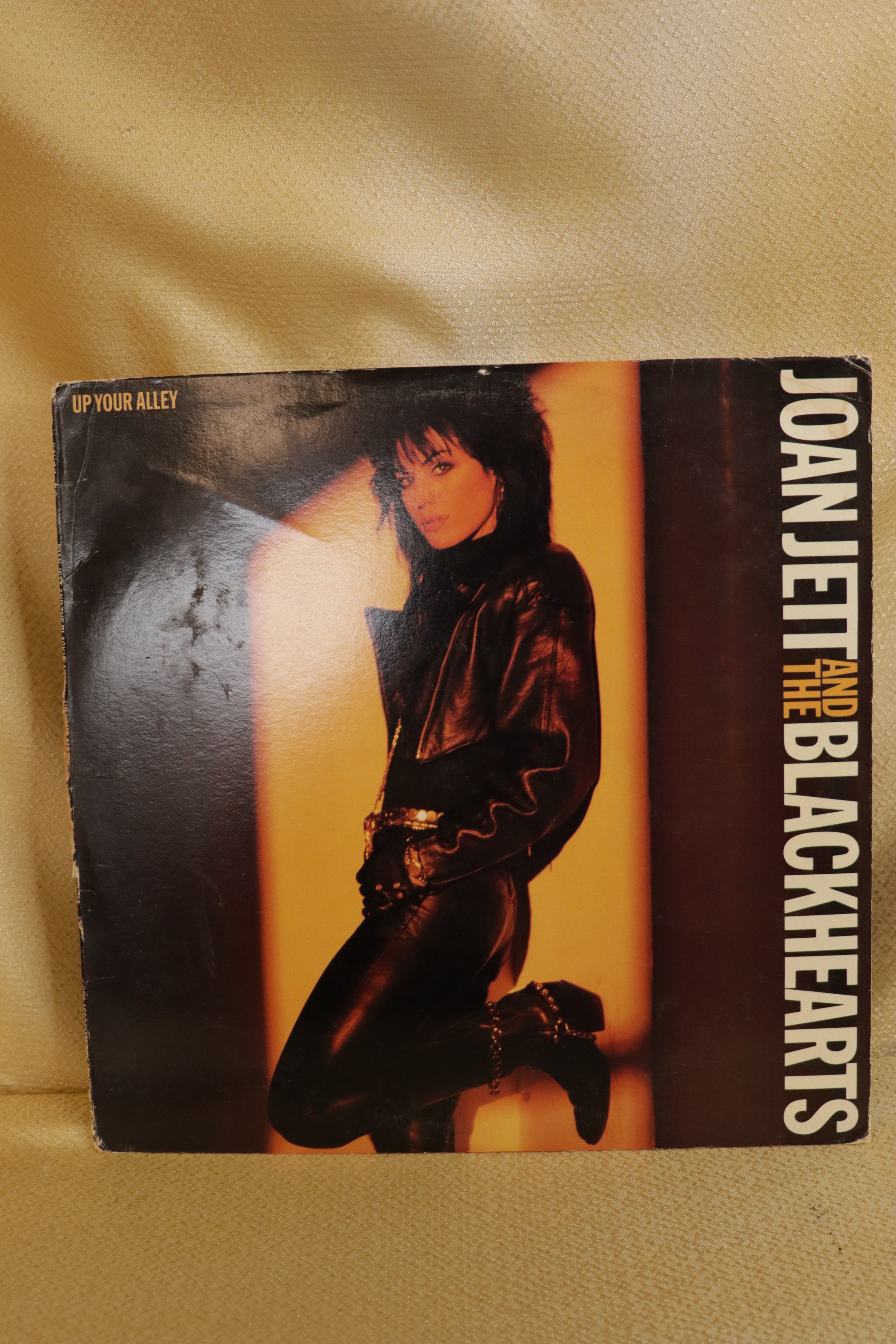 Joan Jett & The Blackhearts Up Your Alley