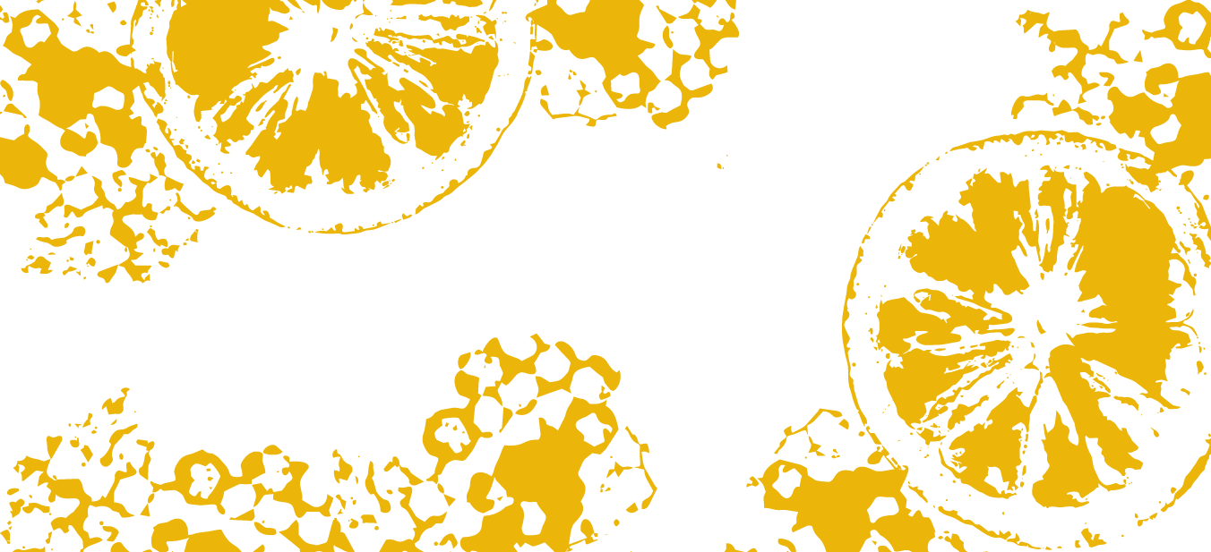 Maiello Cello PATTERNS-07.png