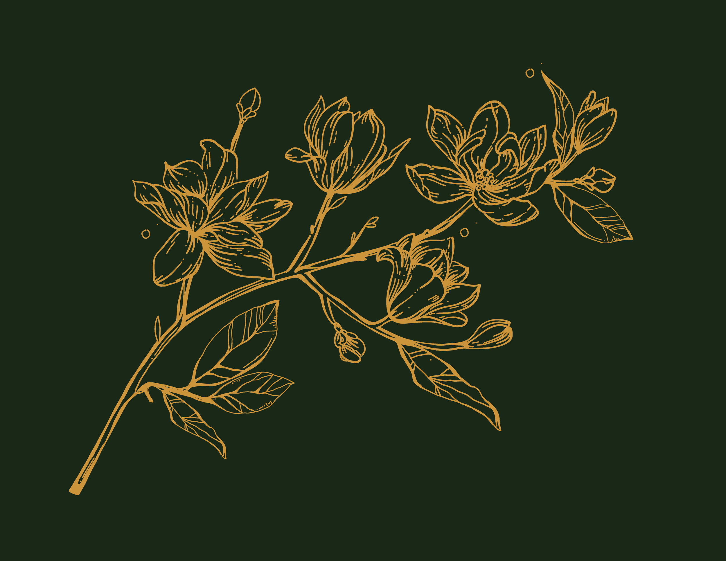 Magnolia-01.png