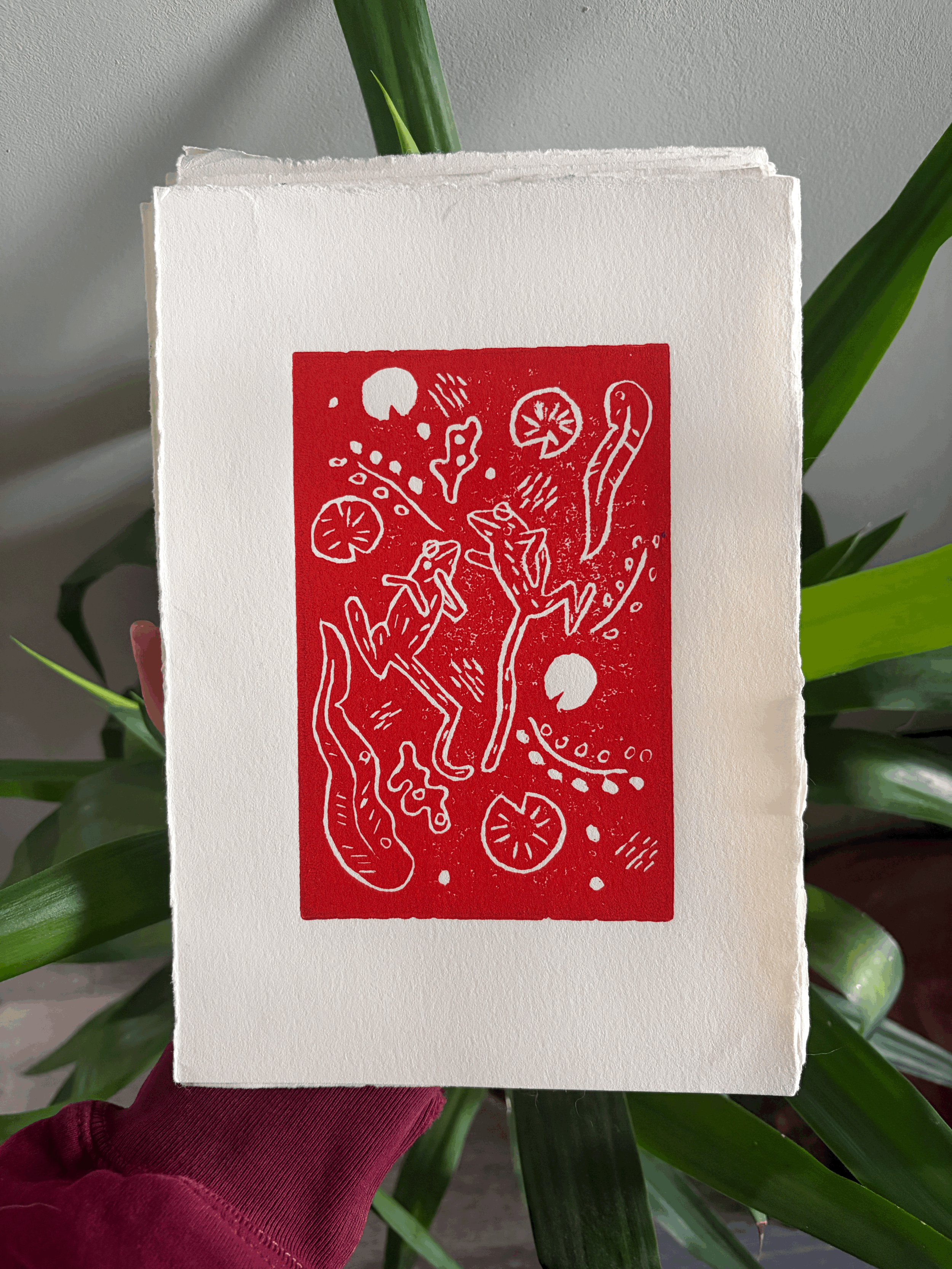 Red Dancing Frogs