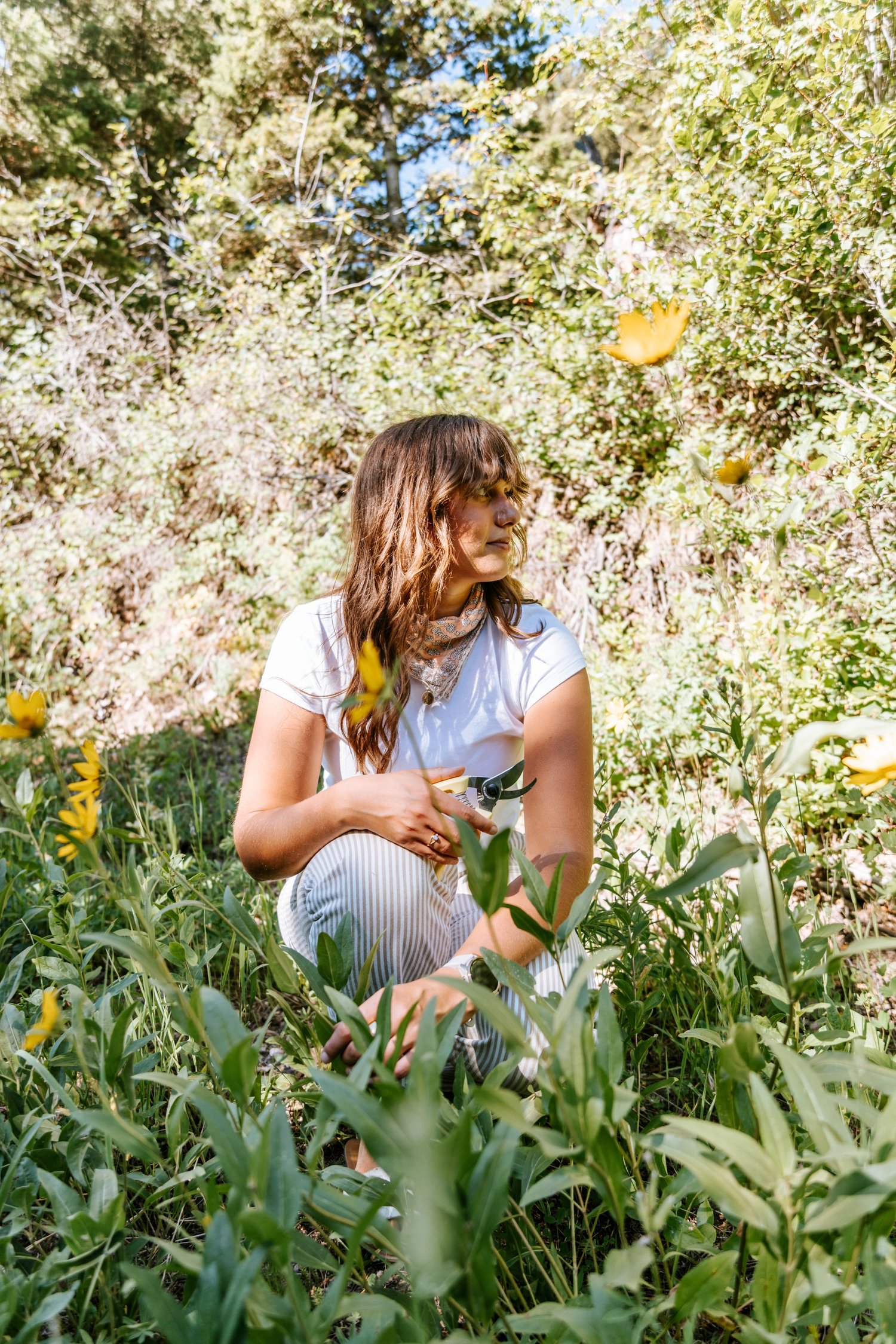 Lauren kneeling among wild sunflowers with pruning shears