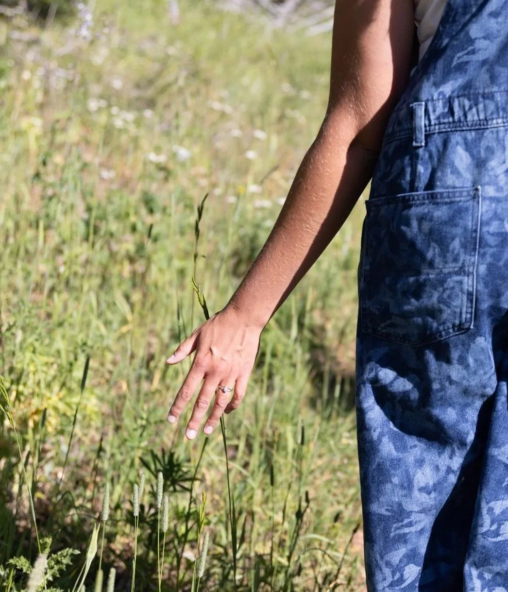 Hand brushing through tall meadow grass