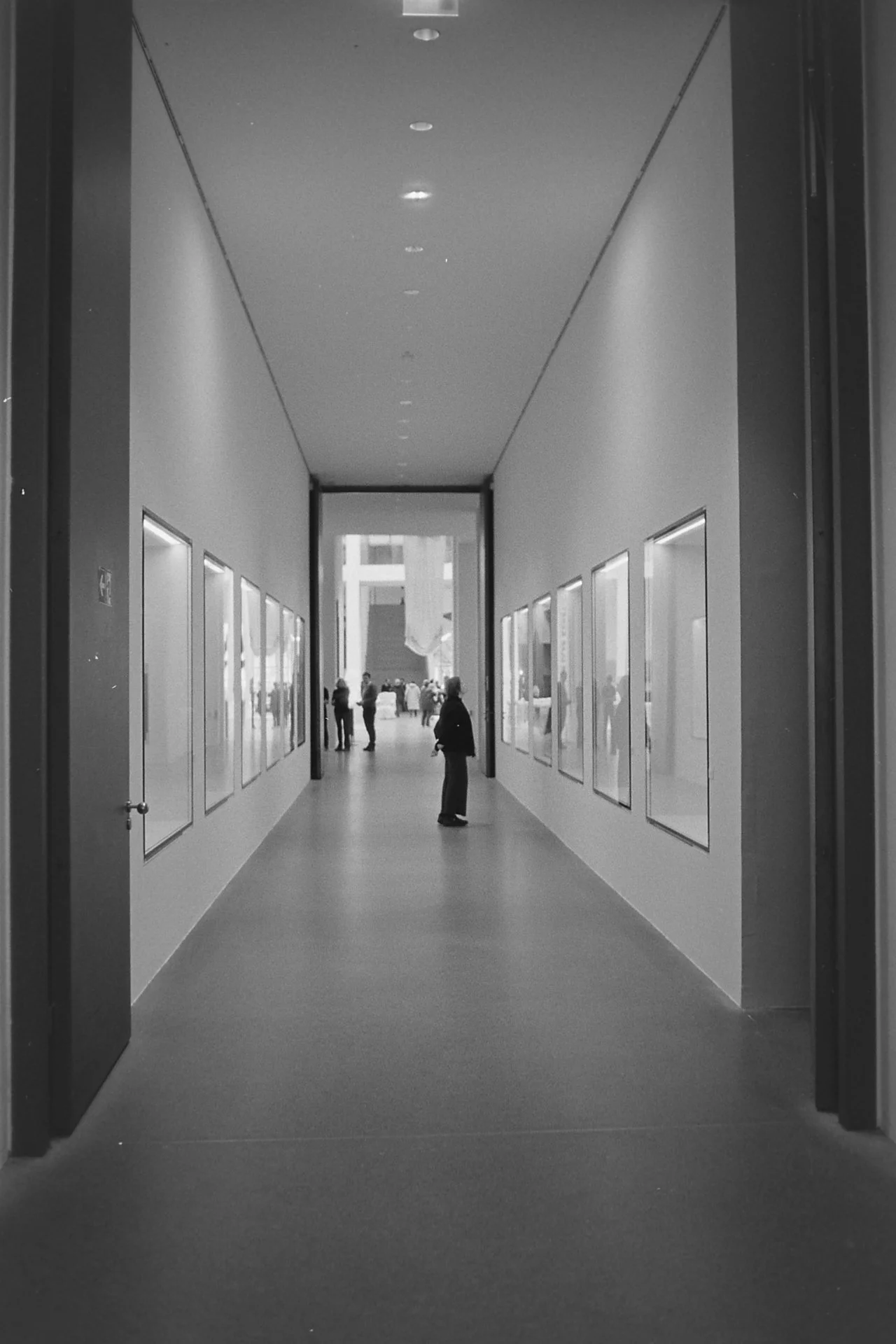 Beauty at the Walls