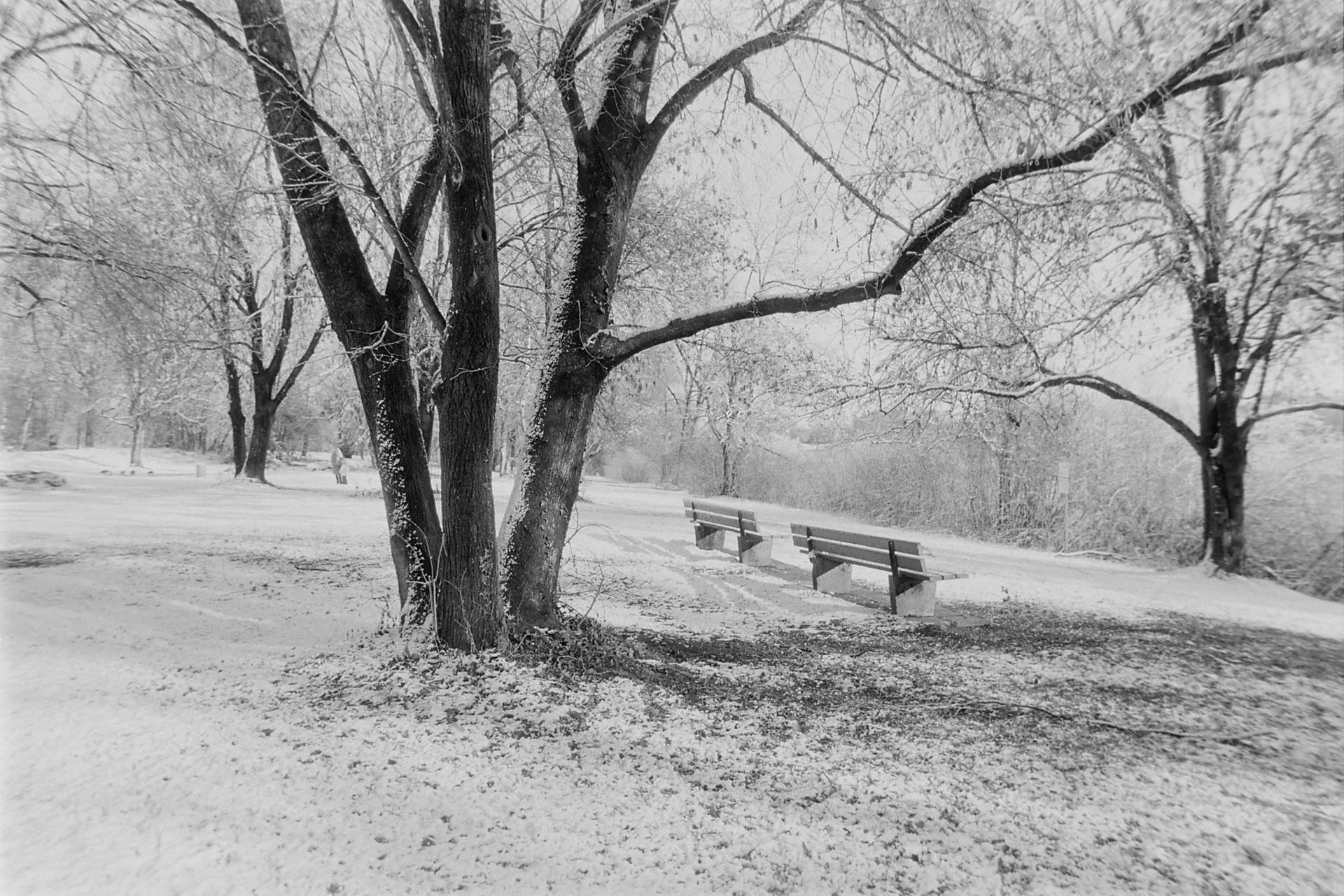 Landscape Munich_3425.jpg