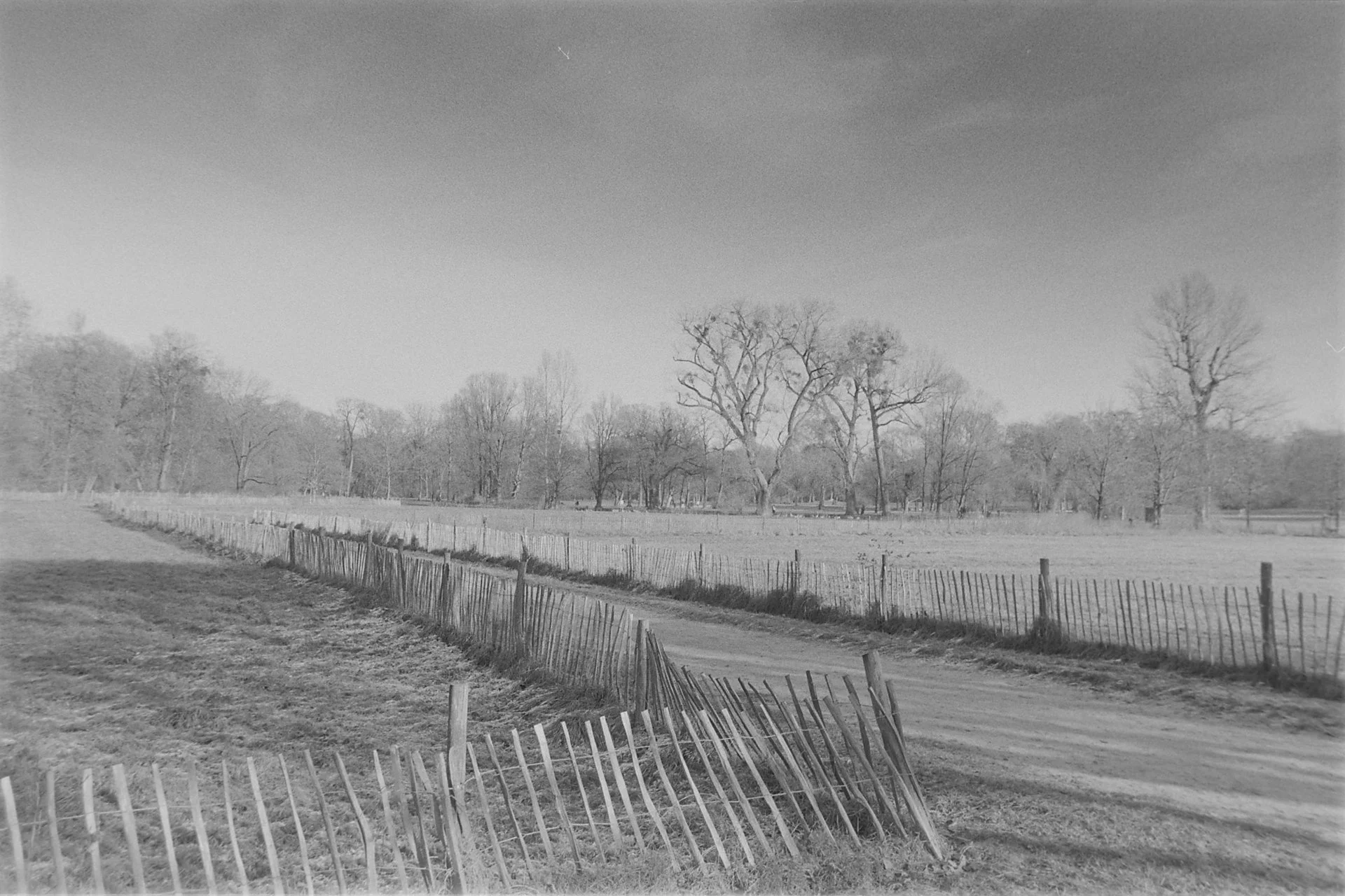 Landscape Munich_3349.jpg