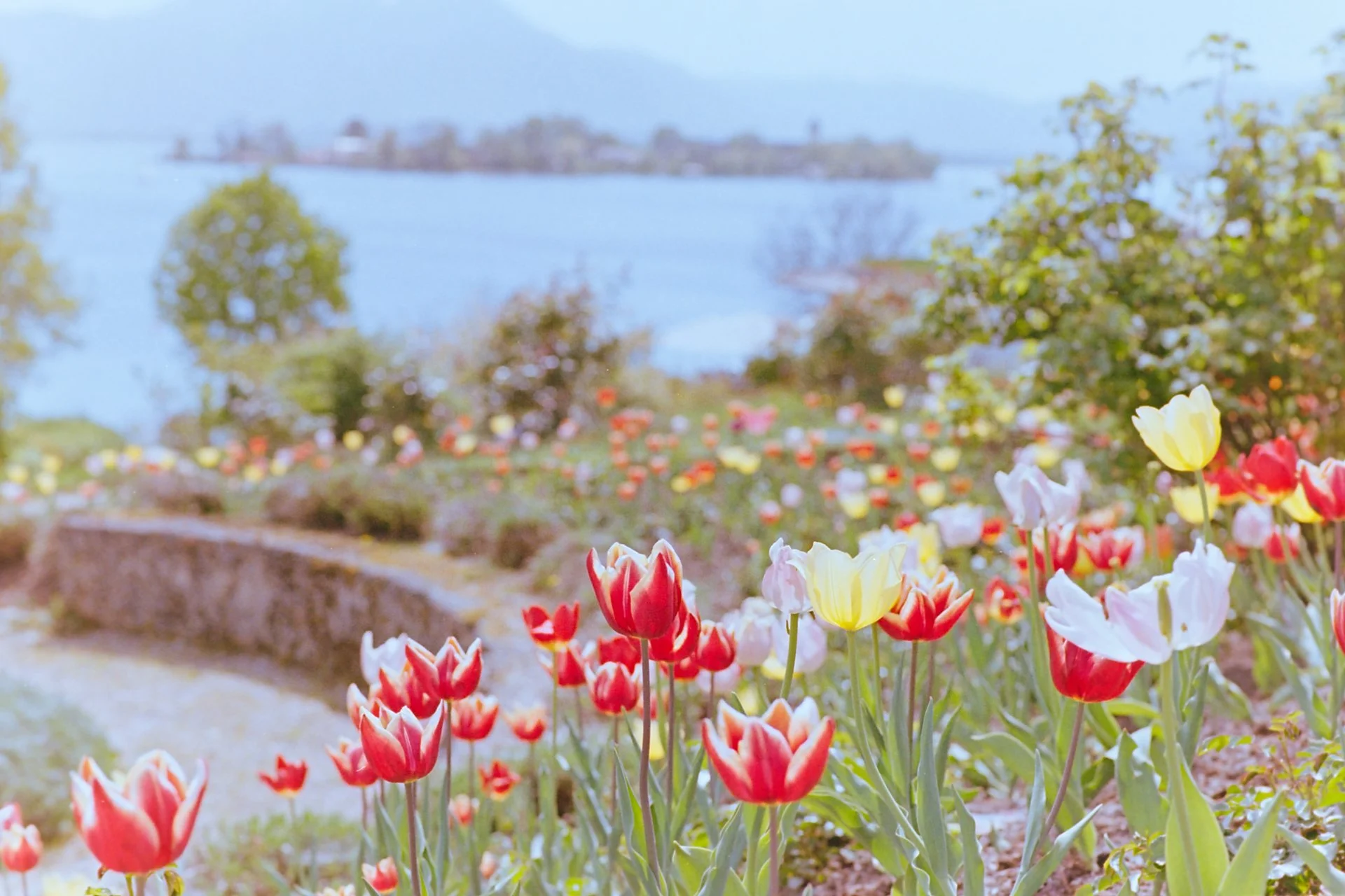 Landscape Chiemsee_2262.jpg