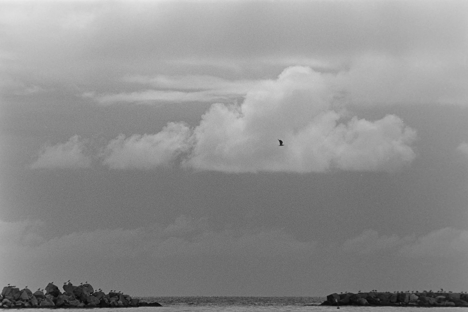 Landscape Porto Sant Elpidio_6238.jpg