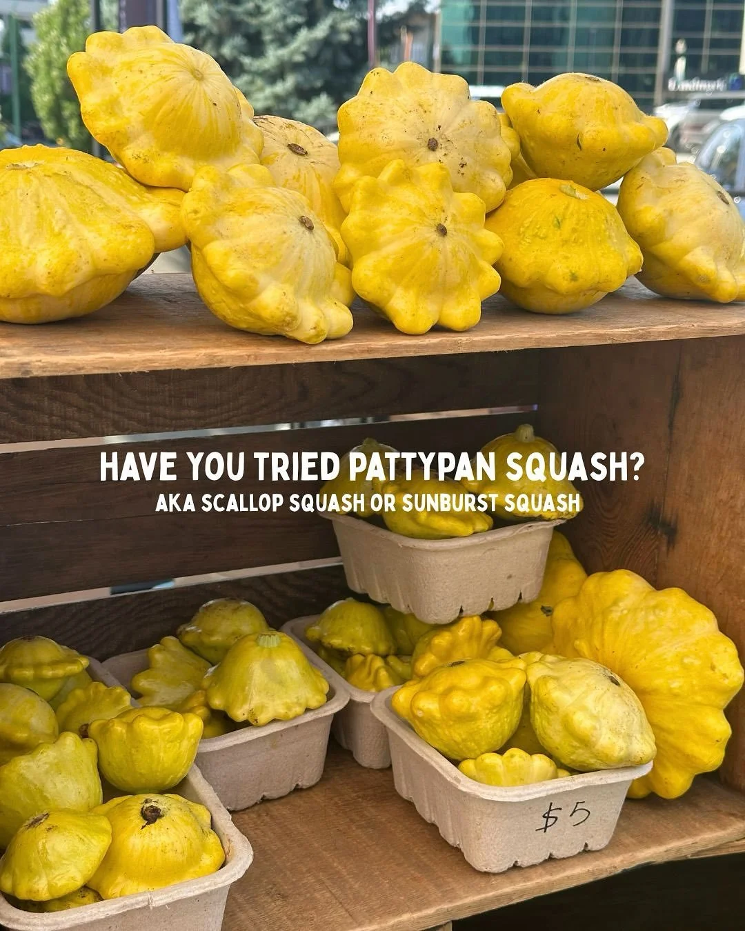 Have you tried pattypan squash before? They&rsquo;re mild, buttery, and perfect for cozy, seasonal dishes 🌻🍽️ Swipe for some ideas on how to cook them this season ➡️

#squash #seasonalvegetables #fallvegetables #farmersmarket #kelownafarmersmarket