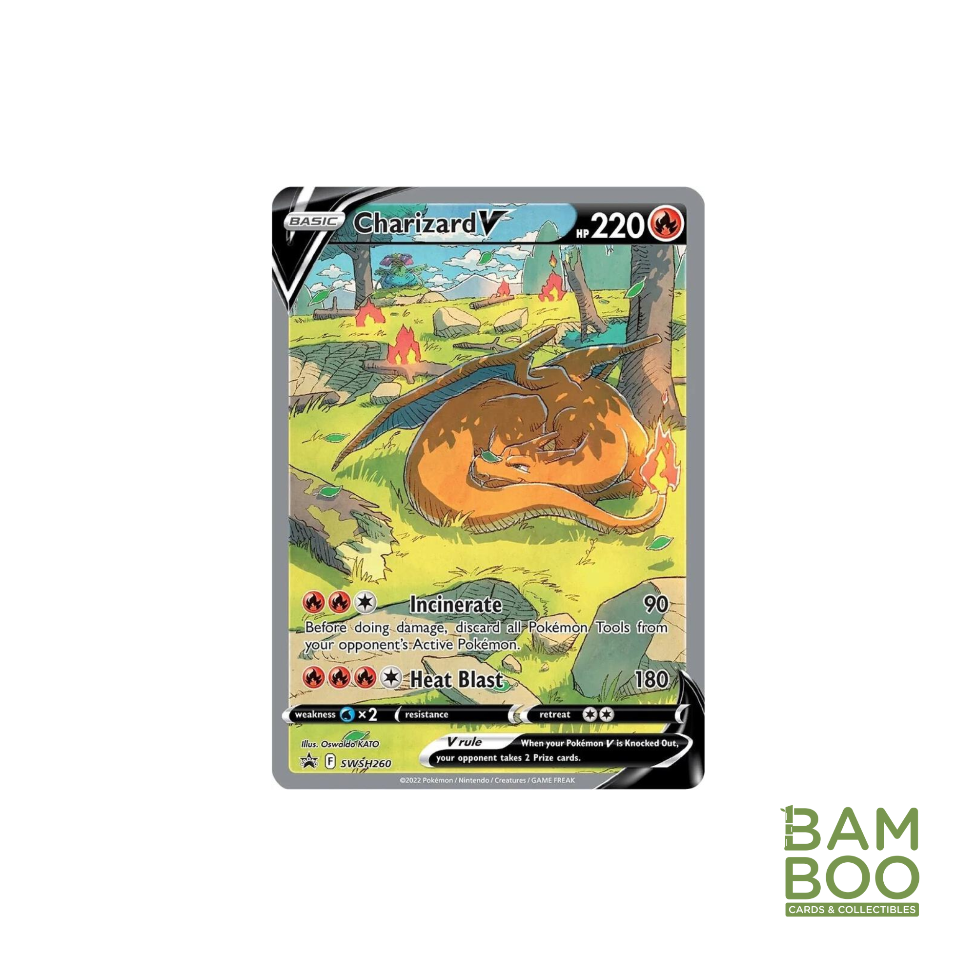 Charizard V - SWSH260 - SWSH: Sword & Shield Promo Cards (SWSD)