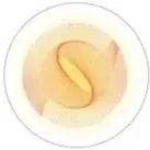 Center for Music and Conciousness