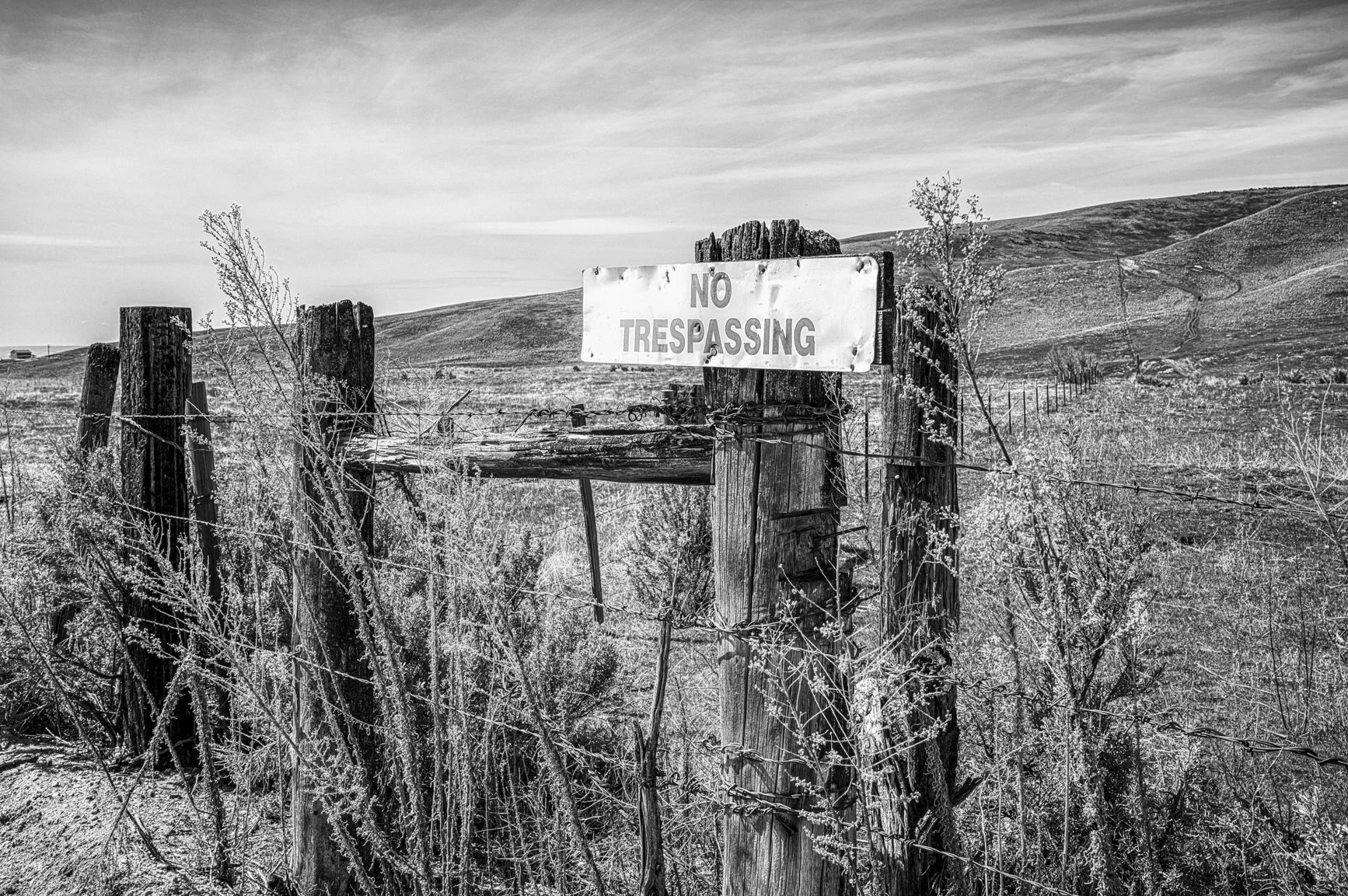 No Trespassing in the Foothills.jpg