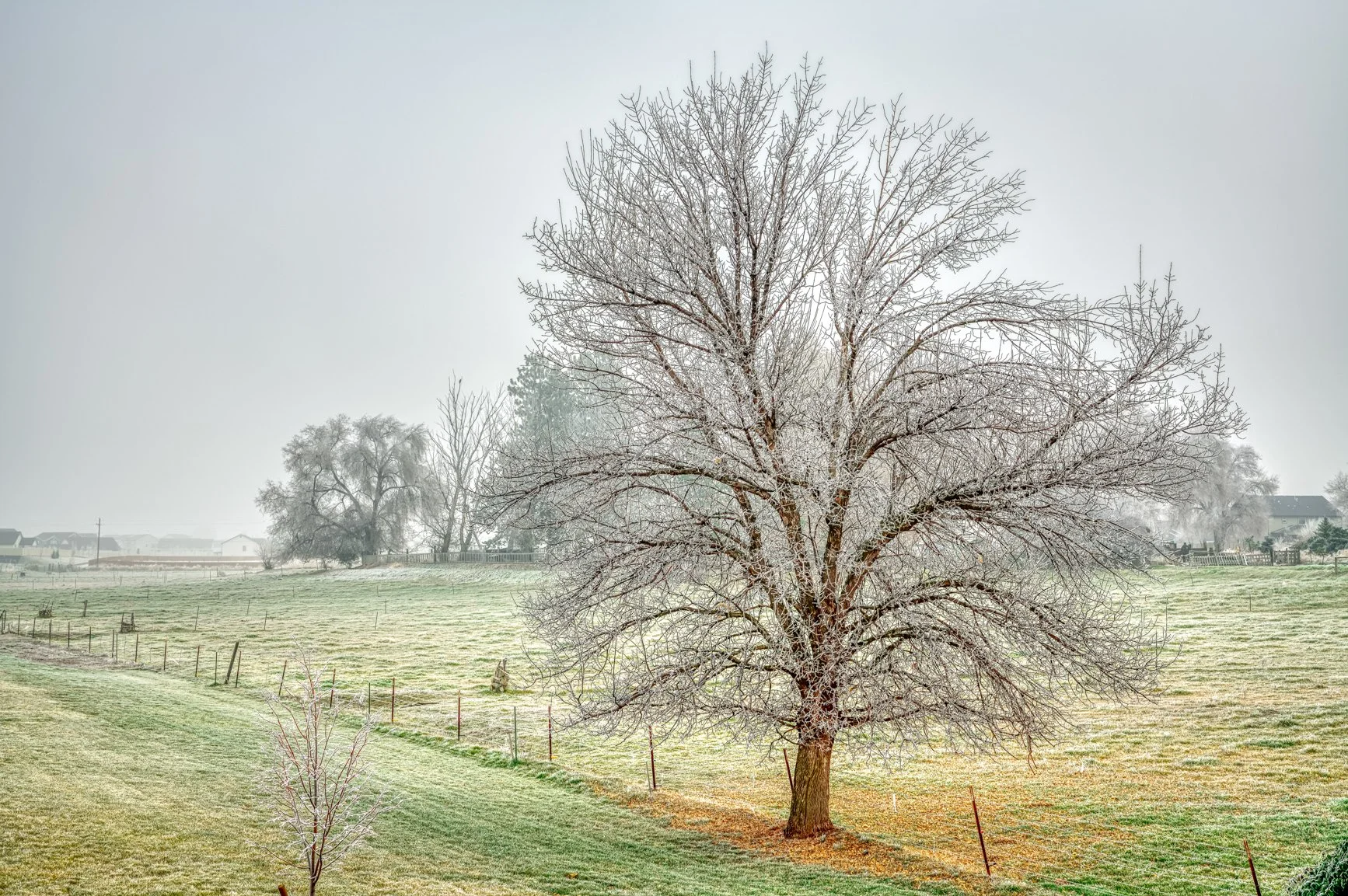 How Idaho’s Weather Creates Emotion in Landscape Photography