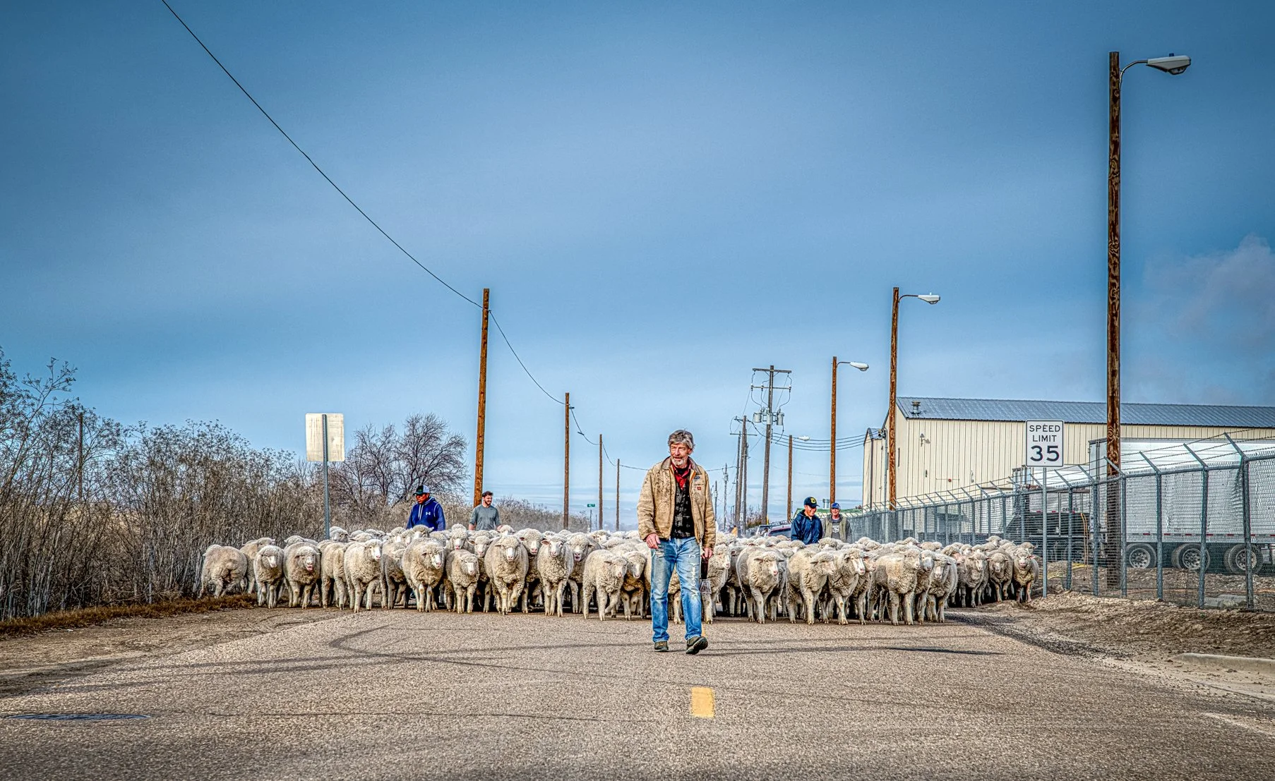 A timeless Idaho scene unfolds on a quiet Caldwell roadway as a sheep herder leads his flock through town, blending rural tradition with modern surroundings. This photograph captures the grit, patience, and heritage of Idaho’s agricultural roots, whe
