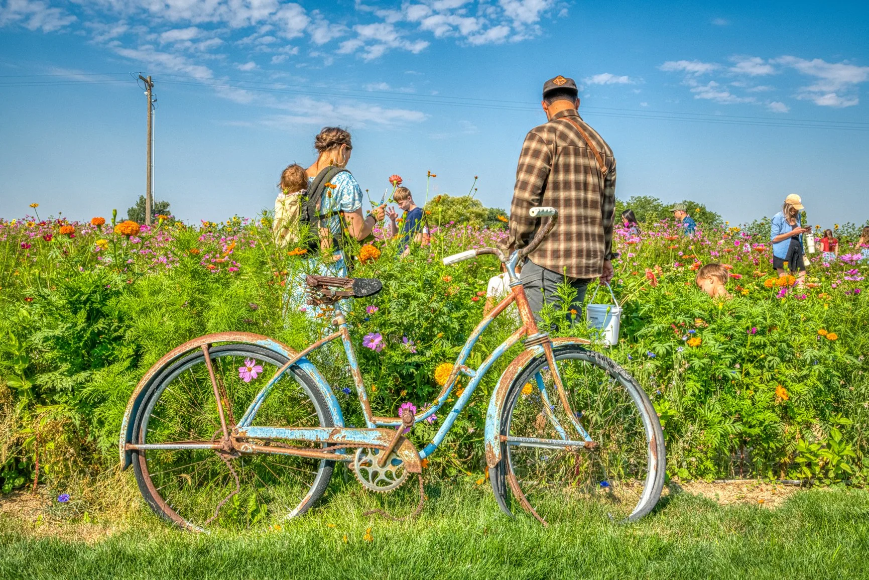 An old bicycle rests quietly among vibrant blossoms as visitors wander through the colorful fields of Lovely Hollow Flower Farm. This joyful scene captures a moment of simple connection—people, flowers, and open sky coming together in Idaho’s country