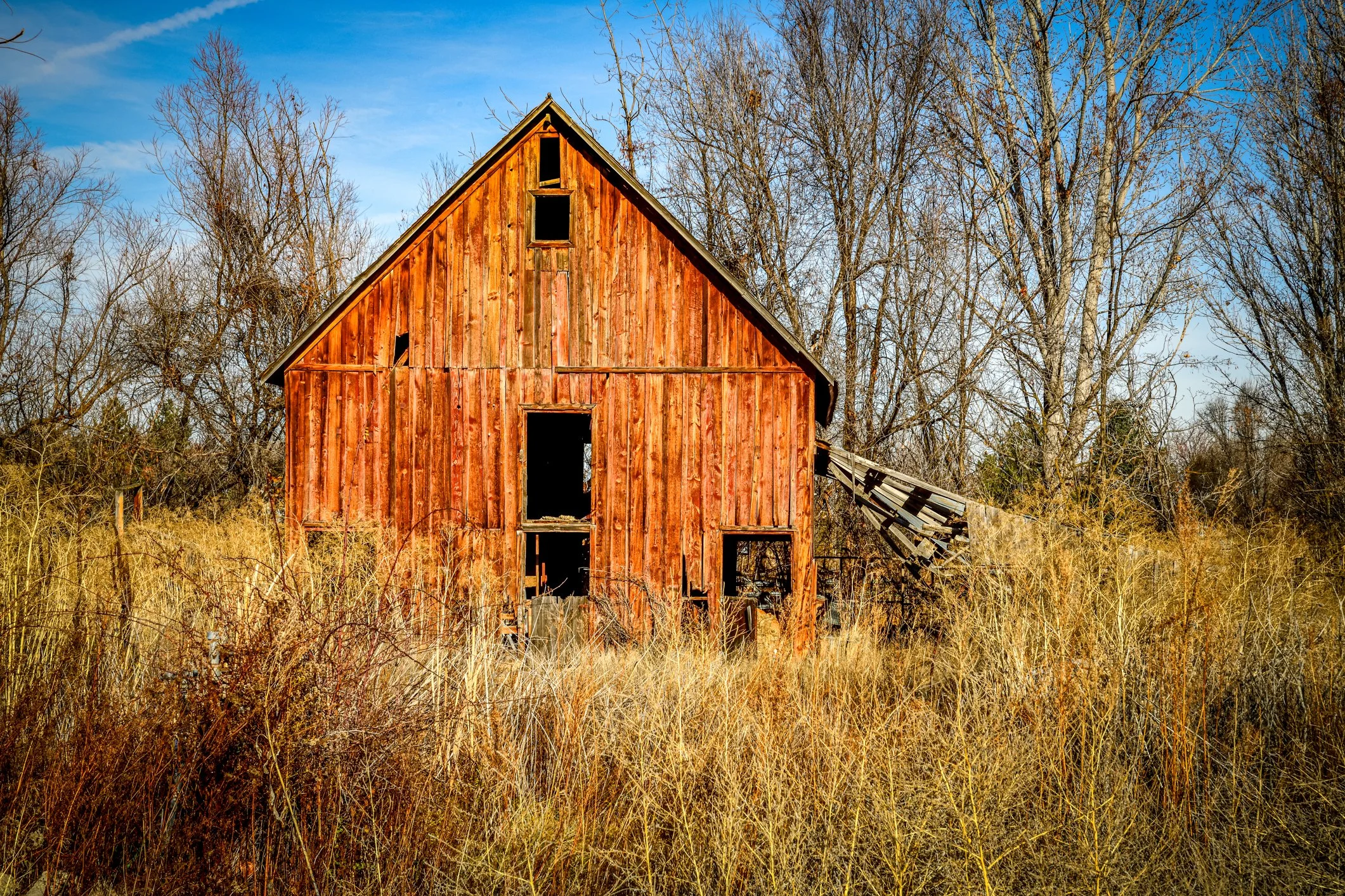 Old Moyle Barn - Star Idaho
