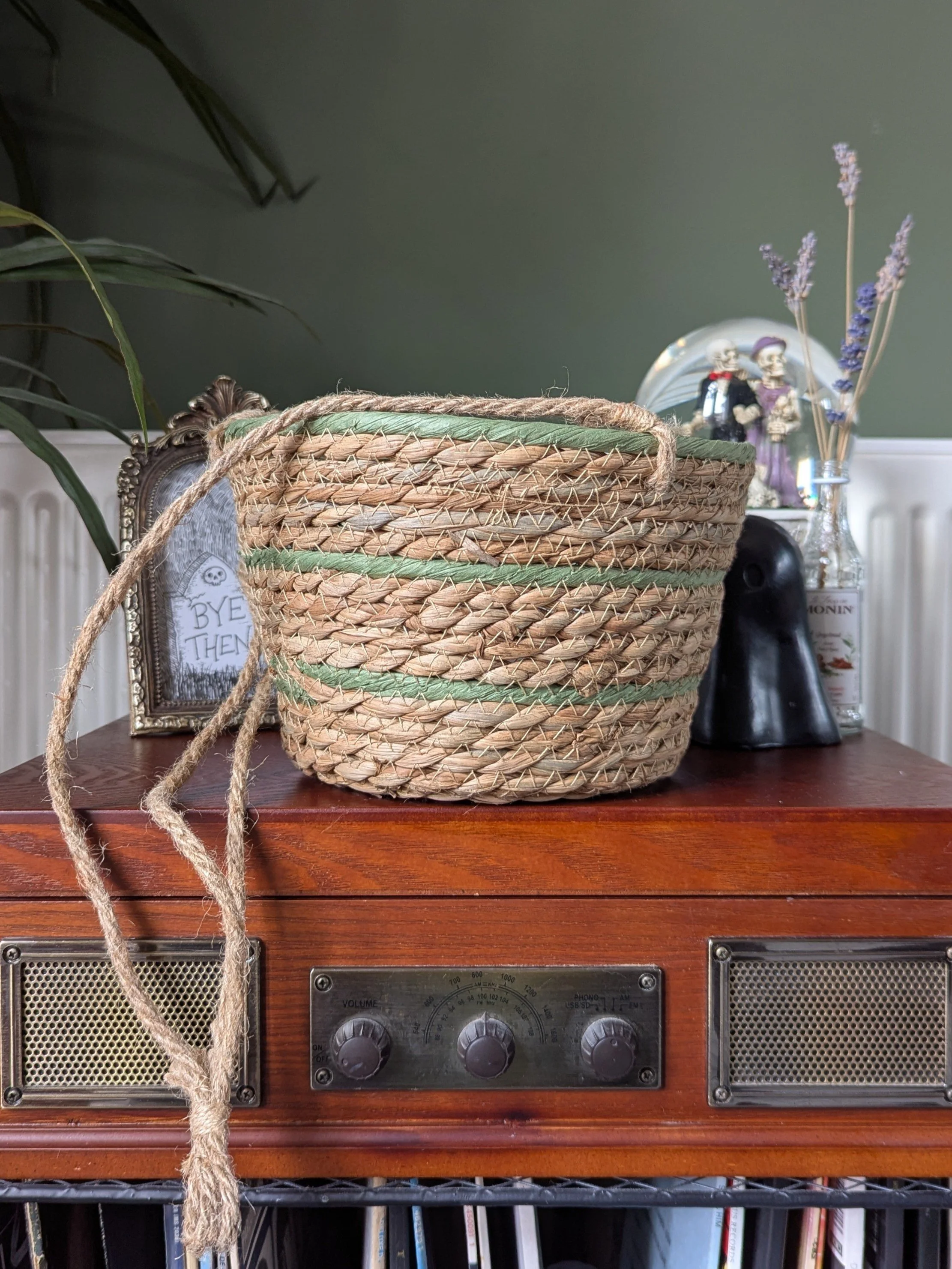 Natural Reed Hanging | Sage | 20cm Pot