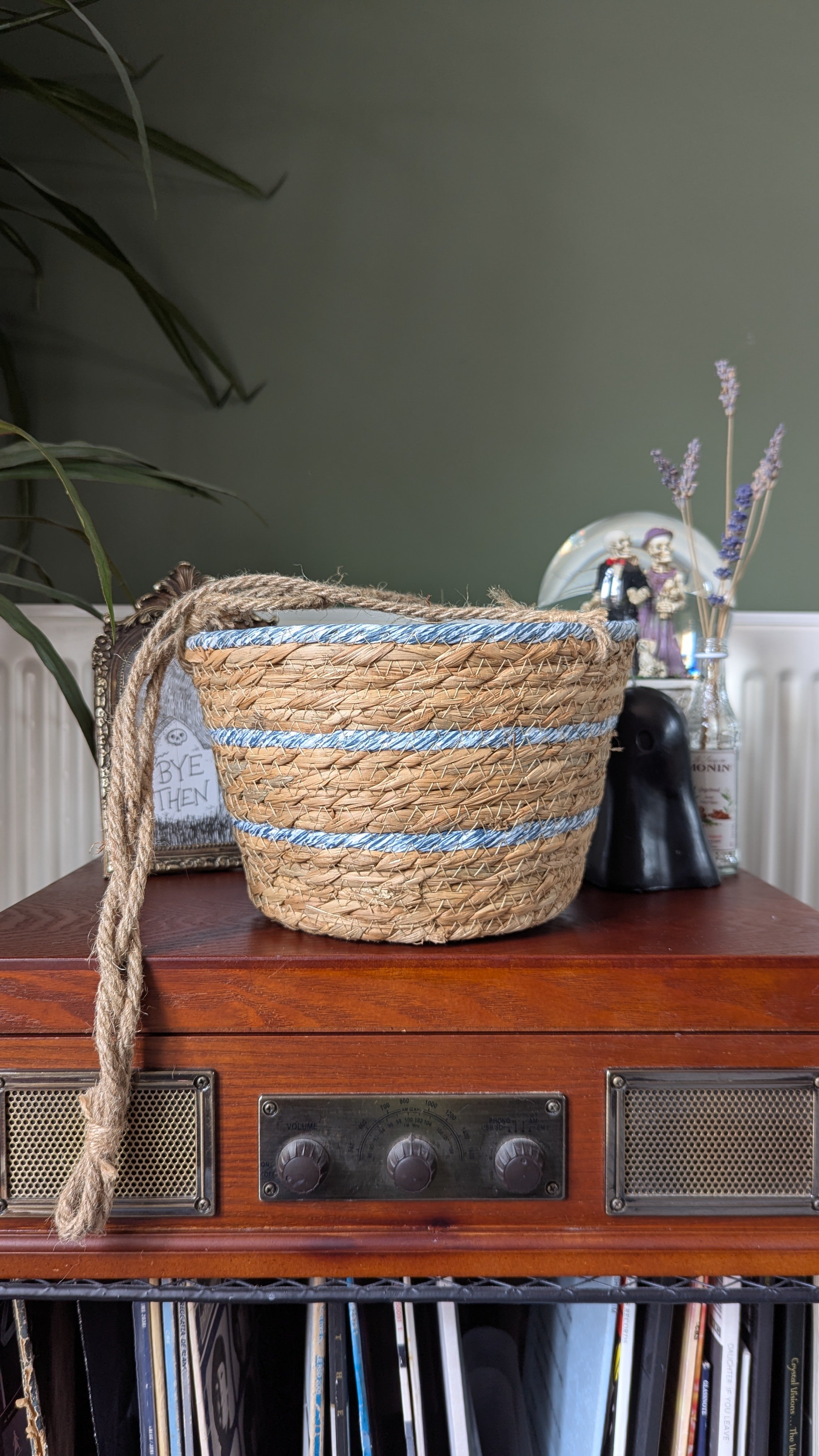Natural Reed Hanging | Grey | 20cm Pot
