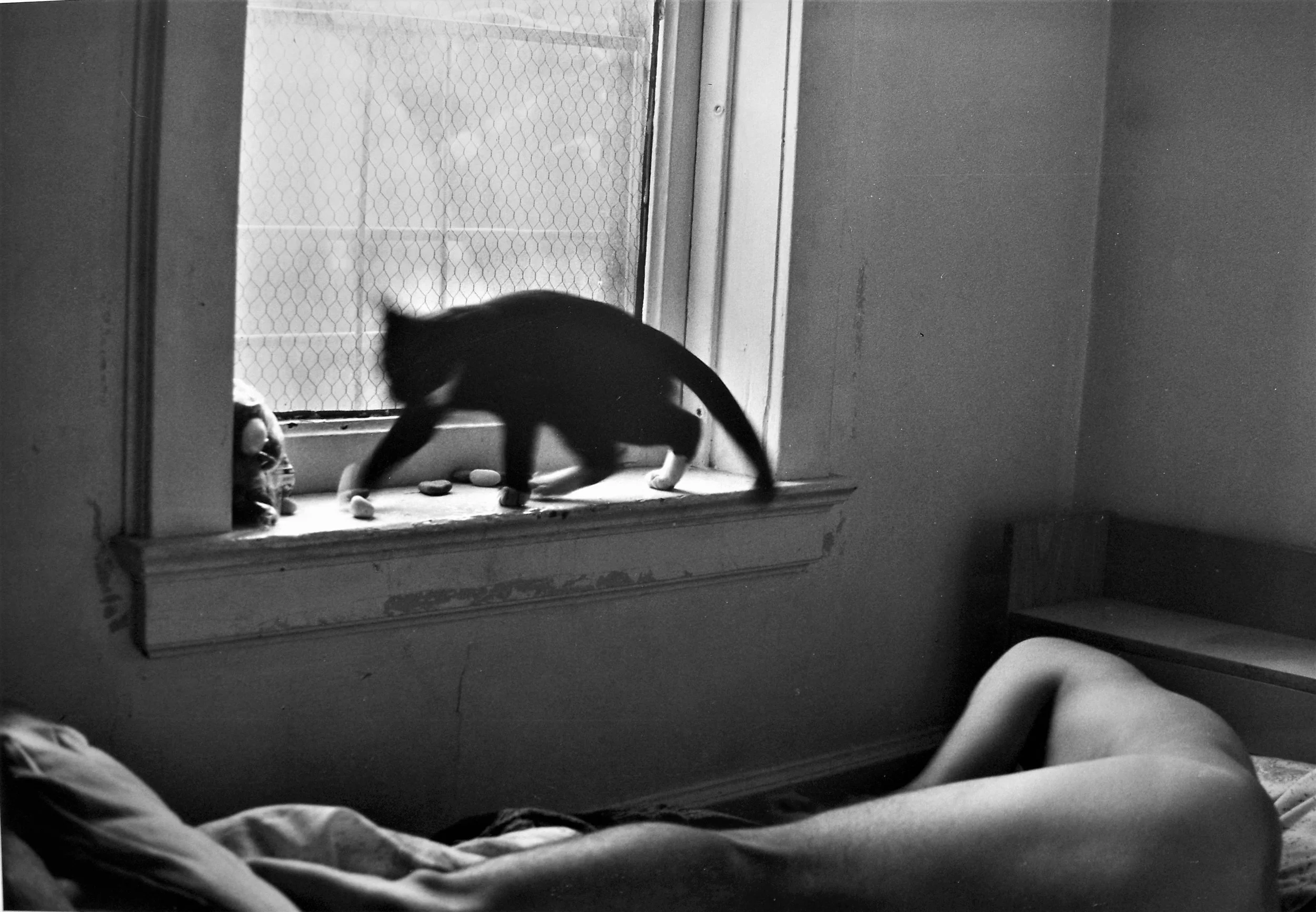 Cruzando umbrales. 1986.