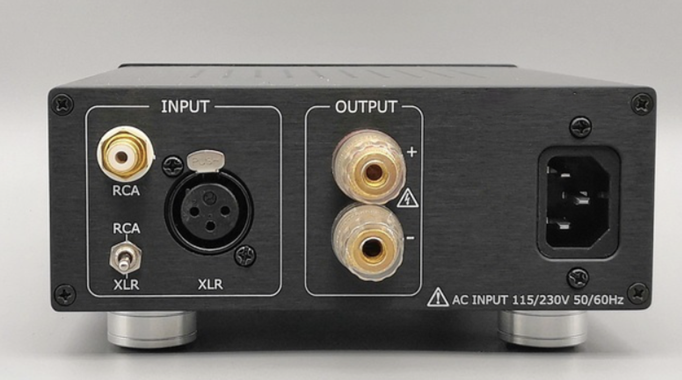 Panel trasero de un dispositivo de audio con entradas RCA y XLR, salida de altavoz y conector de corriente, en color negro y plateado.