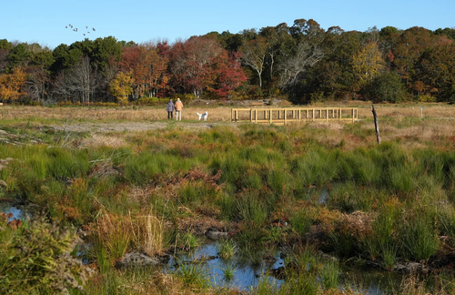 Cape Cod Times: 'Nature For All Fund' advocates surpass signatures needed for ballot initiative