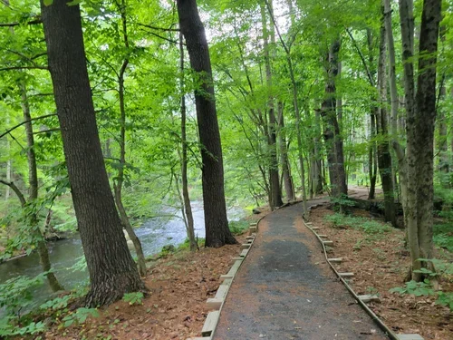 Nature for Massachusetts Statement on the Hearing for H.901/S597