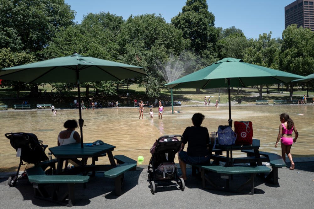 WBUR: Boston's park system ranks 12th in the US. We can still do better
