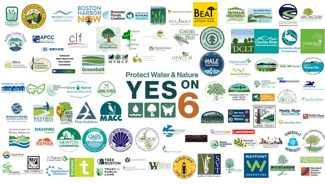 More Than 100 Organizations Are Now Endorsing the “YES on 6” Ballot Campaign to Protect Water and Nature