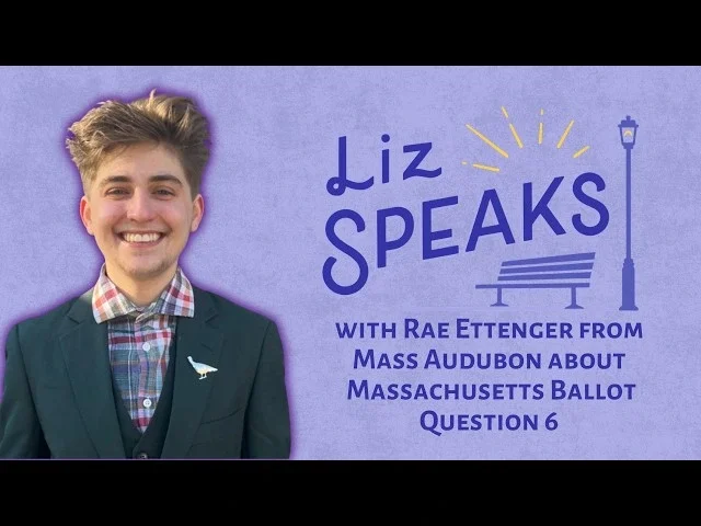 Liz Speaks Podcast: Liz Speaks with Rae Ettenger from Mass Audubon about Massachusetts Ballot Question 6