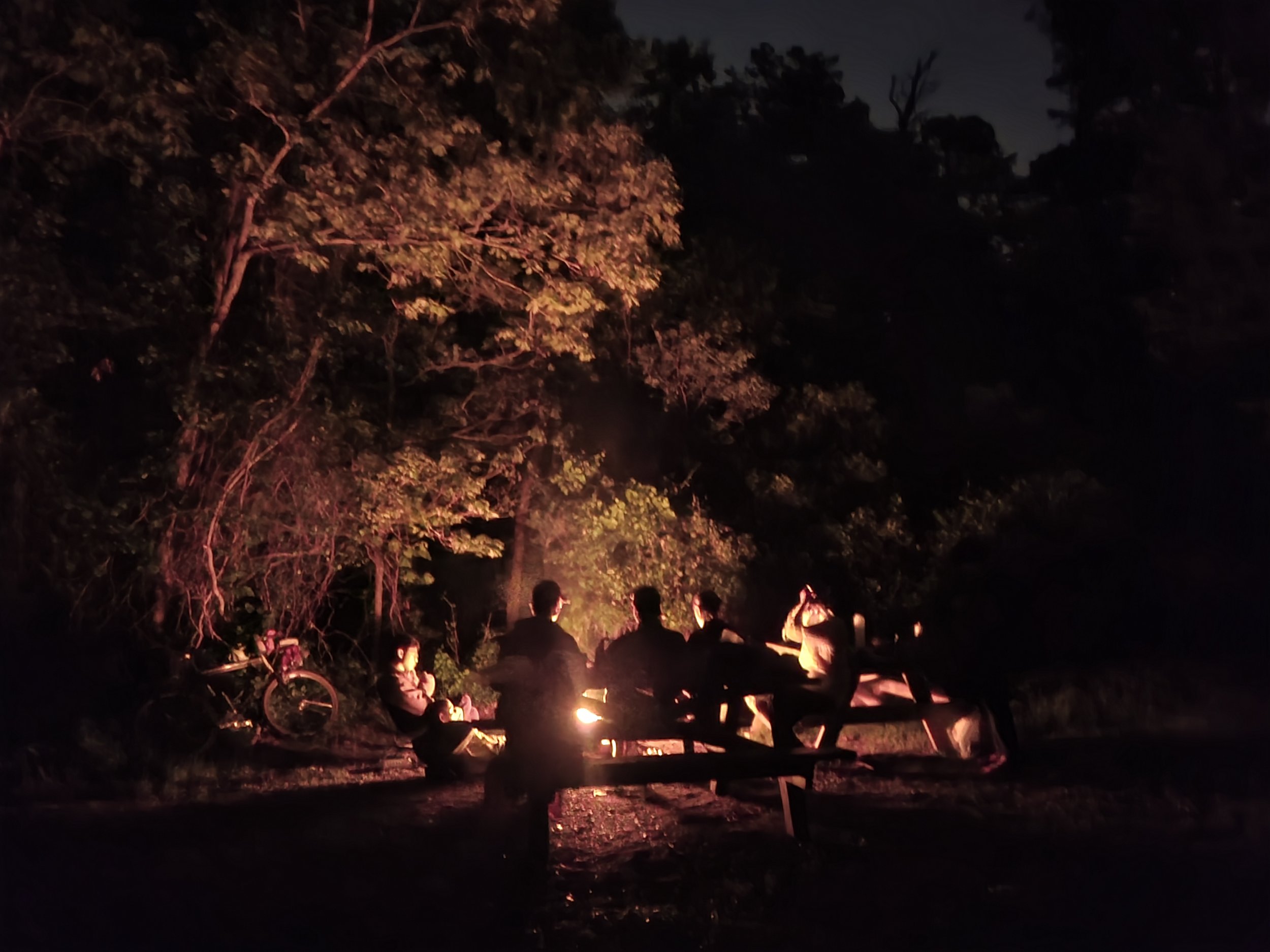 More Seats at the Campfire: Why Nature for MA Is About Access and Adventure