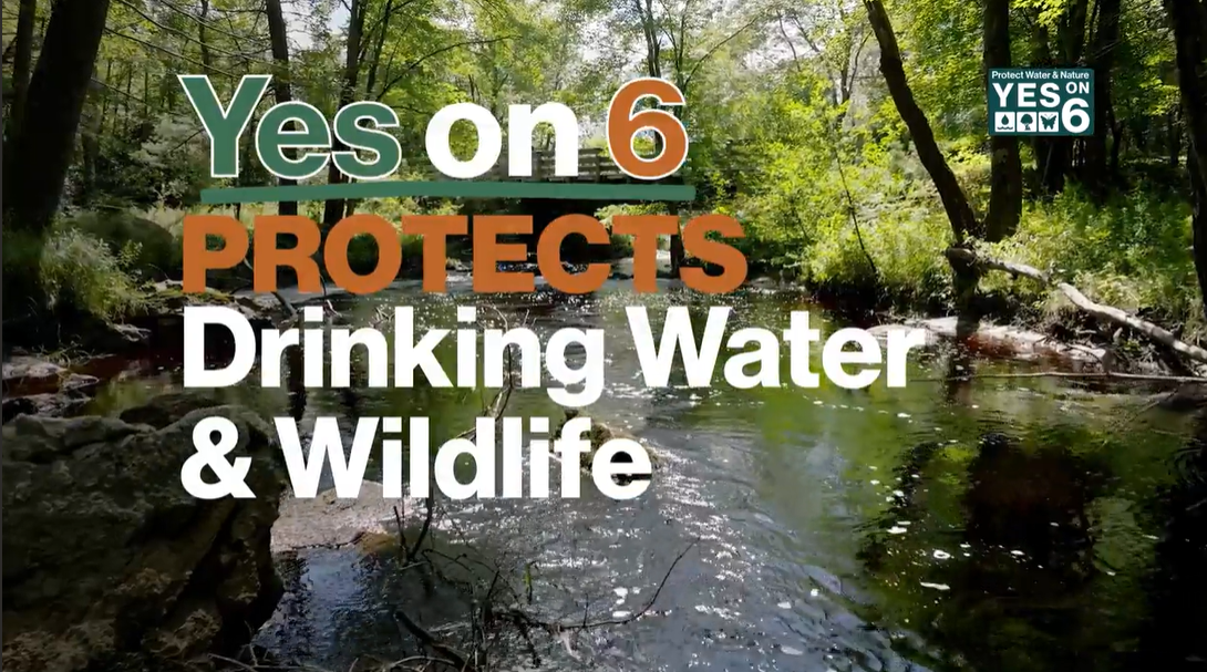 Press Release: “YES on 6” Ballot Campaign to Protect Water and Nature Launches First Ad: “Naturally”