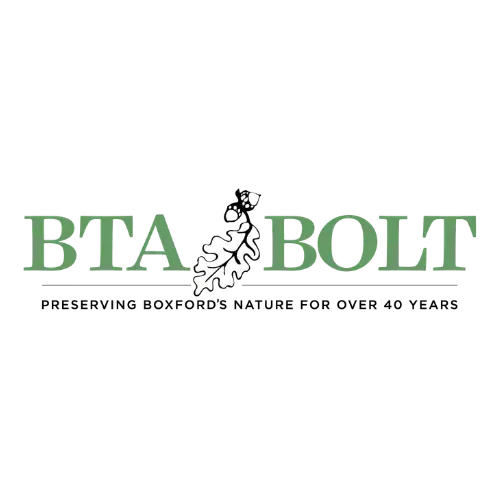 BTA-BOLT.webp
