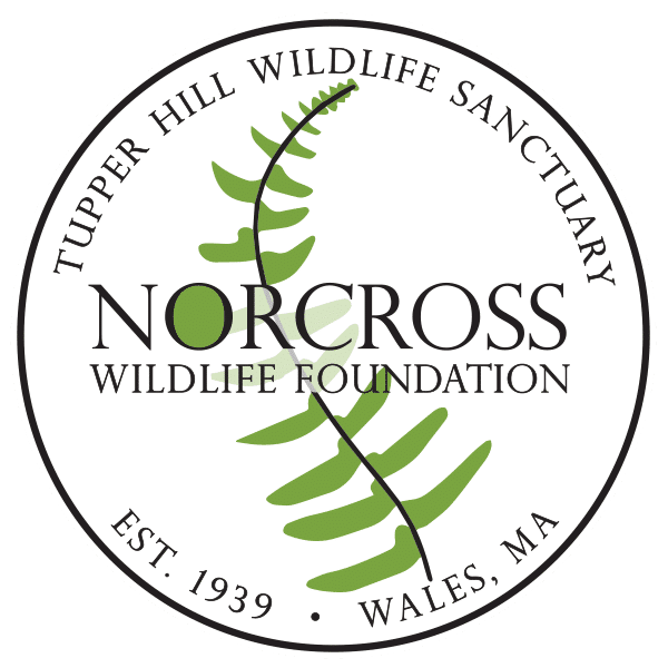 Norcross Wildlife Foundation