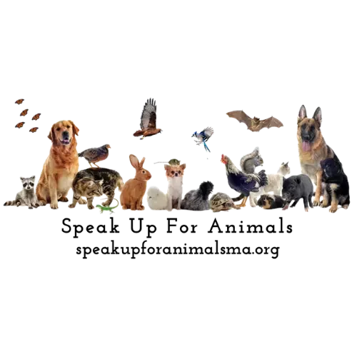 Speak Up For Animals.webp
