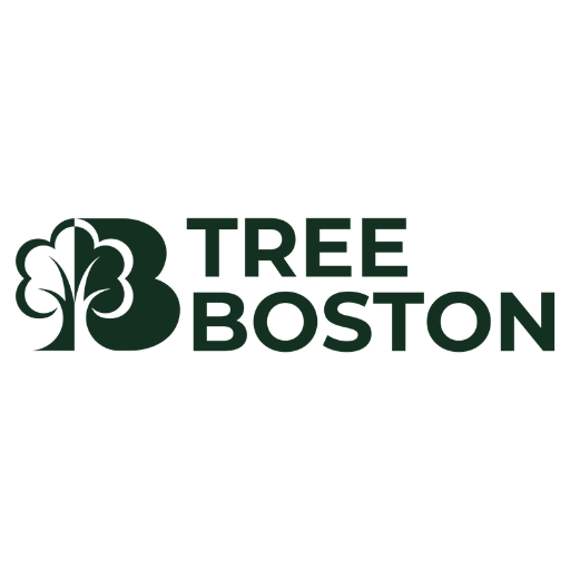 Tree Boston
