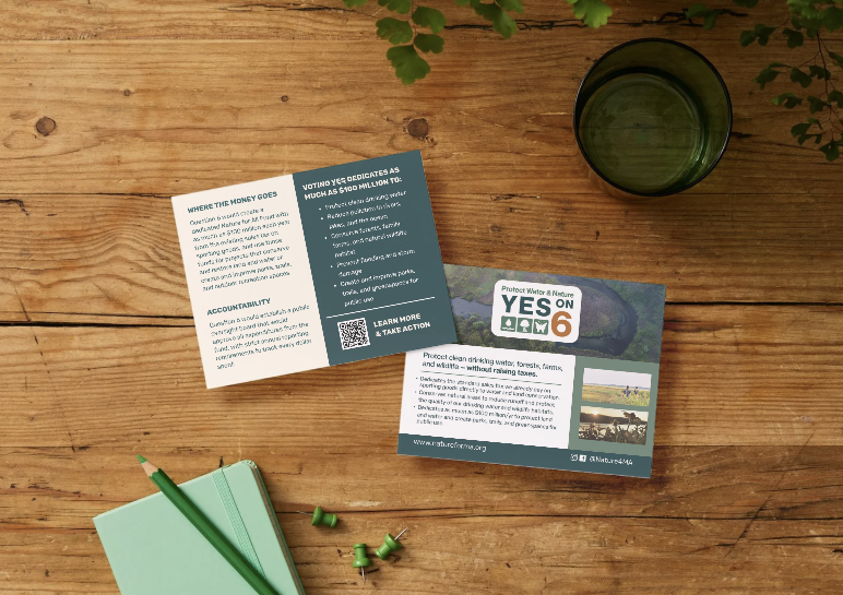 Brochures and informational materials related to protecting water and nature, placed on a wooden surface, with a glass of water, a mint-green notebook, a green pen, and small paper clips.
