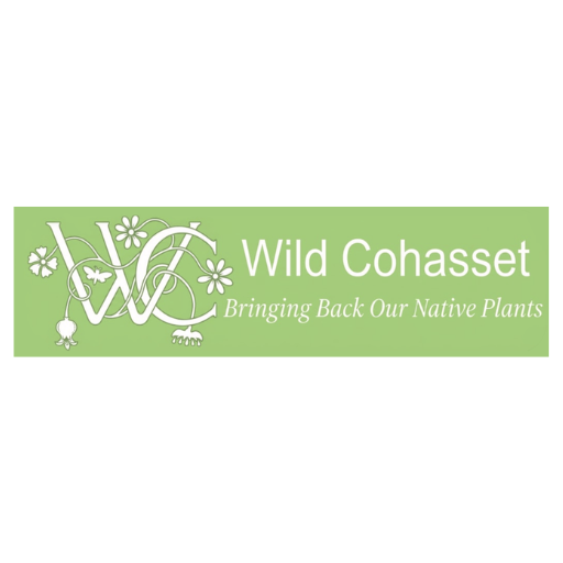 Wild Cohasset