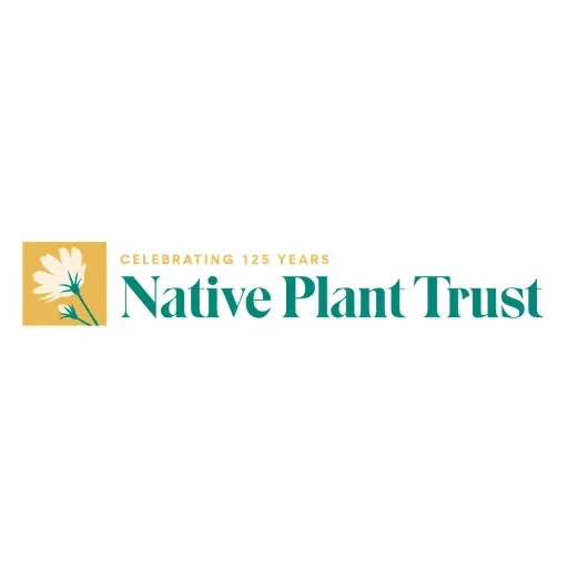 Logo for Native Plant Trust with a white flower on a yellow background and the text 'Celebrating 125 Years Native Plant Trust'.