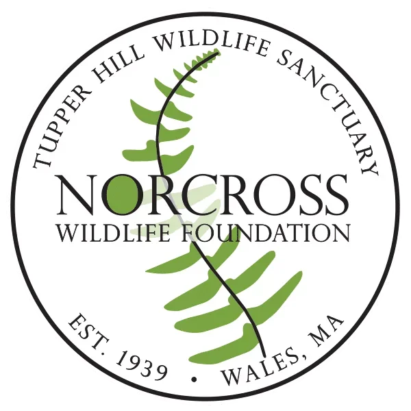 Logo of Tupper Hill Wildlife Sanctuary and Norcross Wildlife Foundation, featuring a green DNA helix with a leaf design, surrounded by the text 'Tupper Hill Wildlife Sanctuary, Norcross Wildlife Foundation, Est. 1939, Wales, MA'.