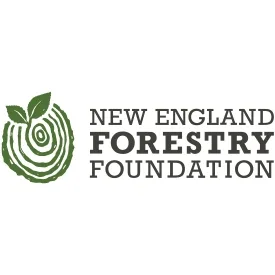 New England Forestry Foundation.webp