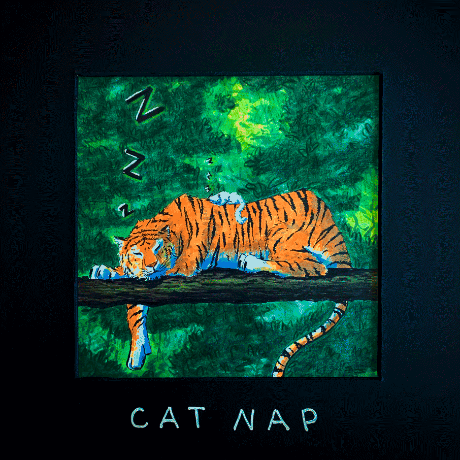 Tiger Cat Nap