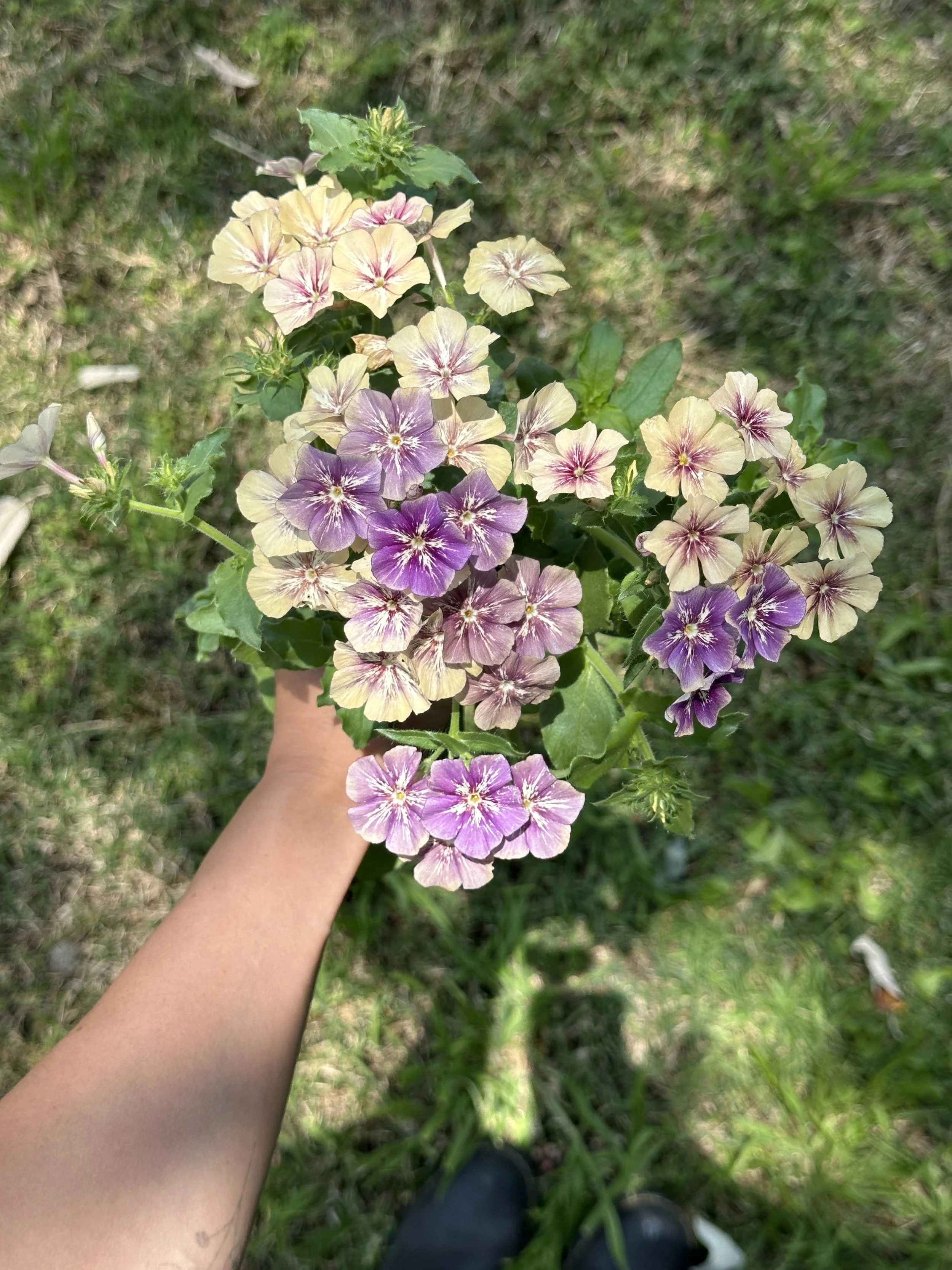 IMG_2048.JPG