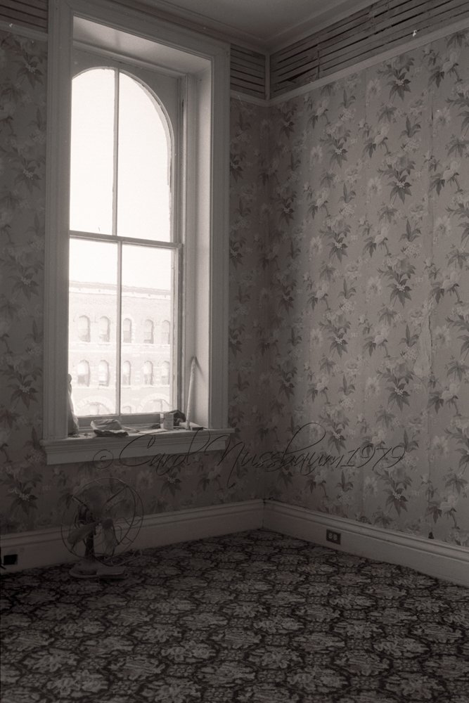 Window + Fan
