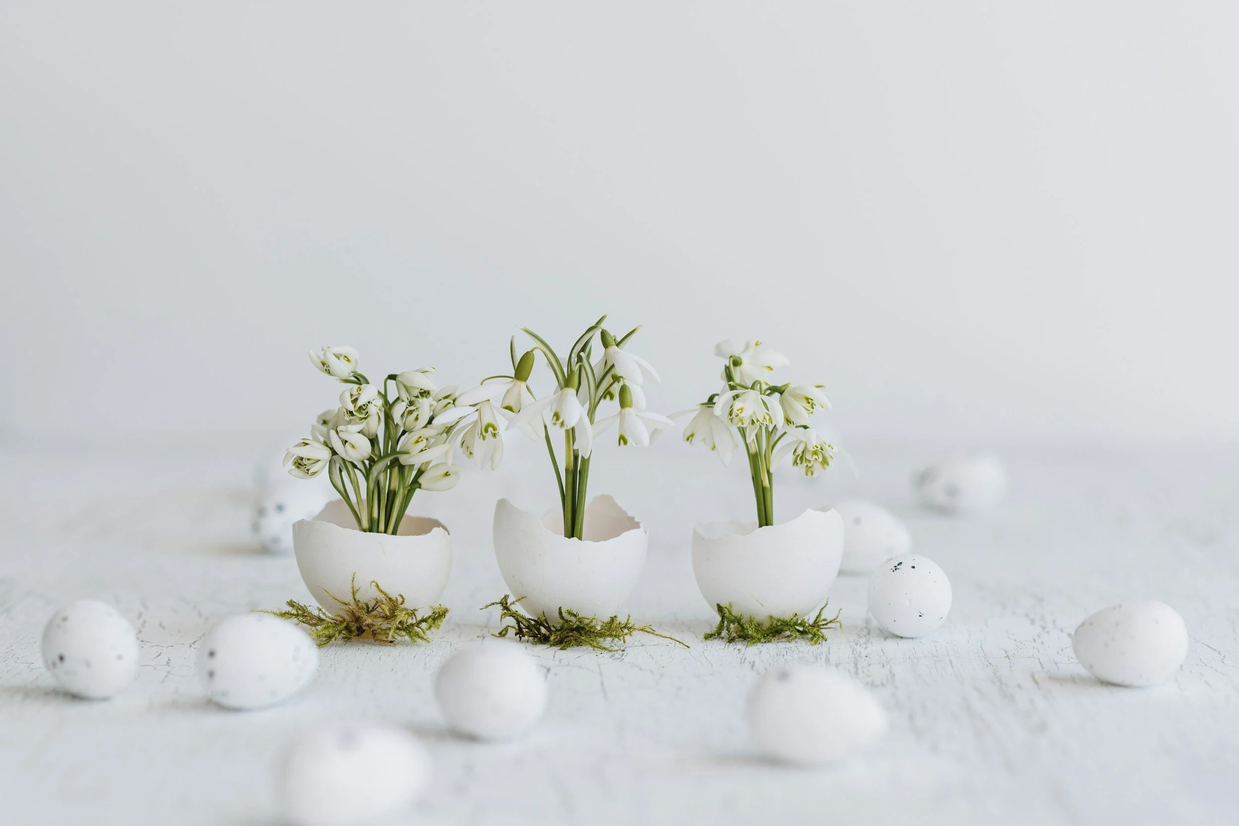 Spring Newsletter: Growth &amp; Reconnection 🌱
