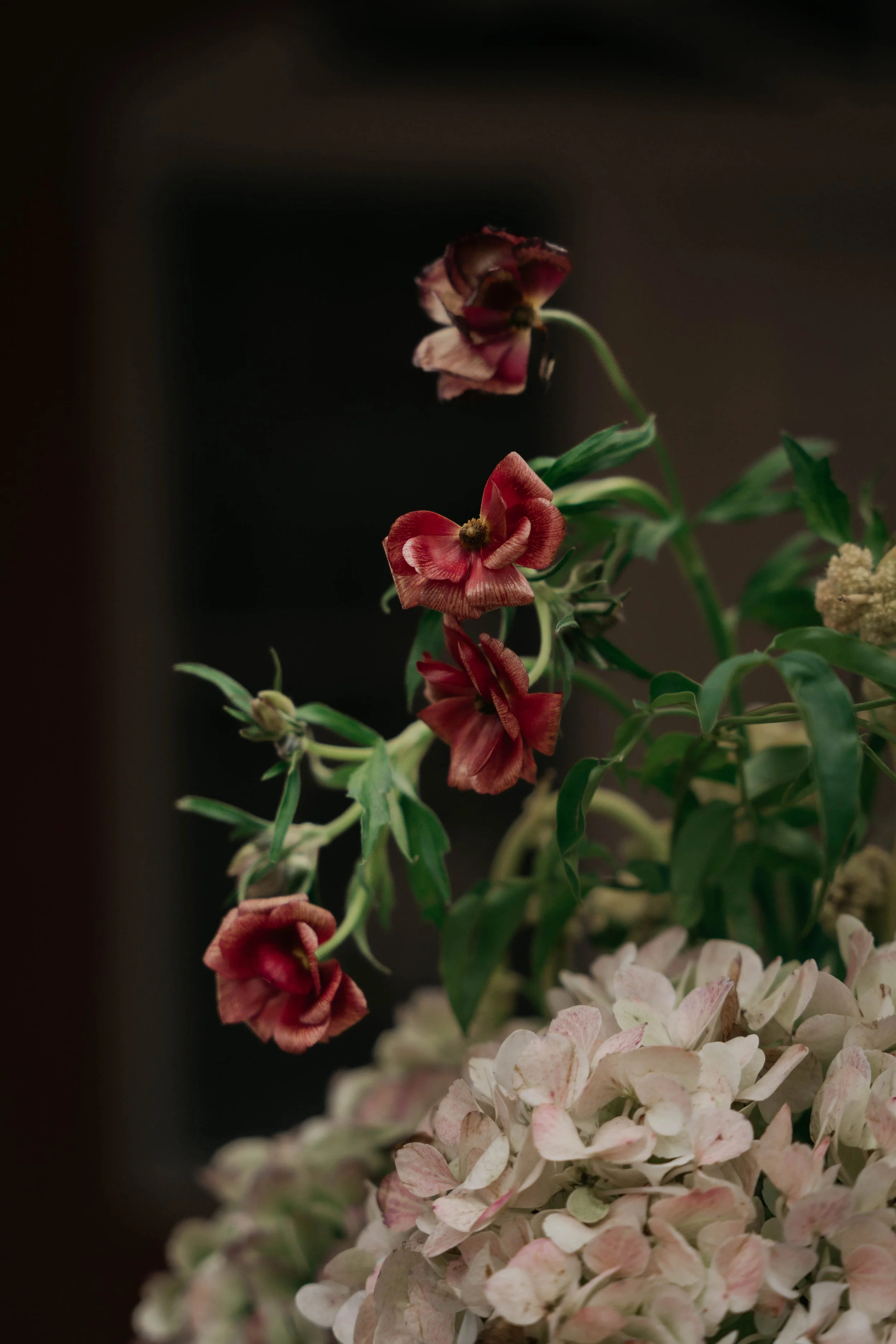 K&J_TNG08665-2.jpg