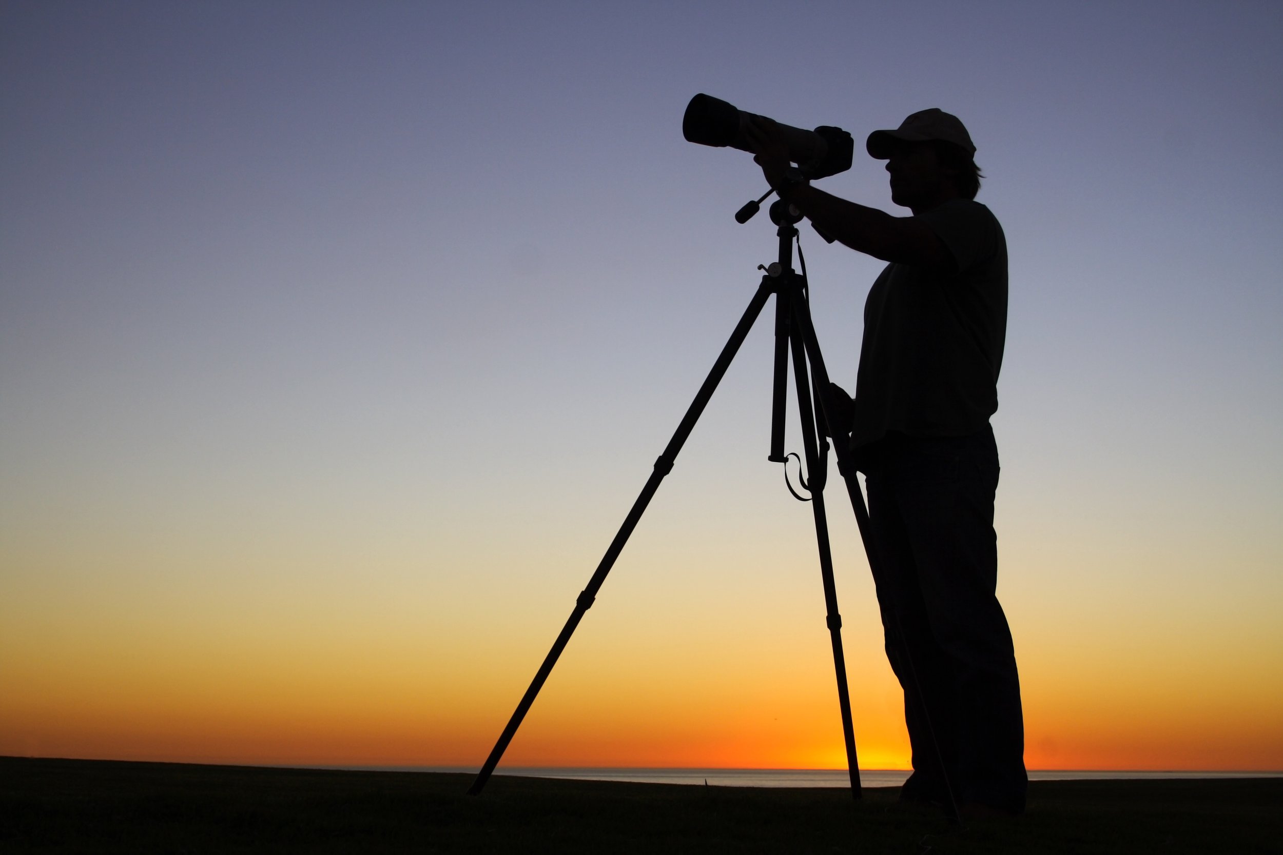 Training, Critique, and the Professional Skillset