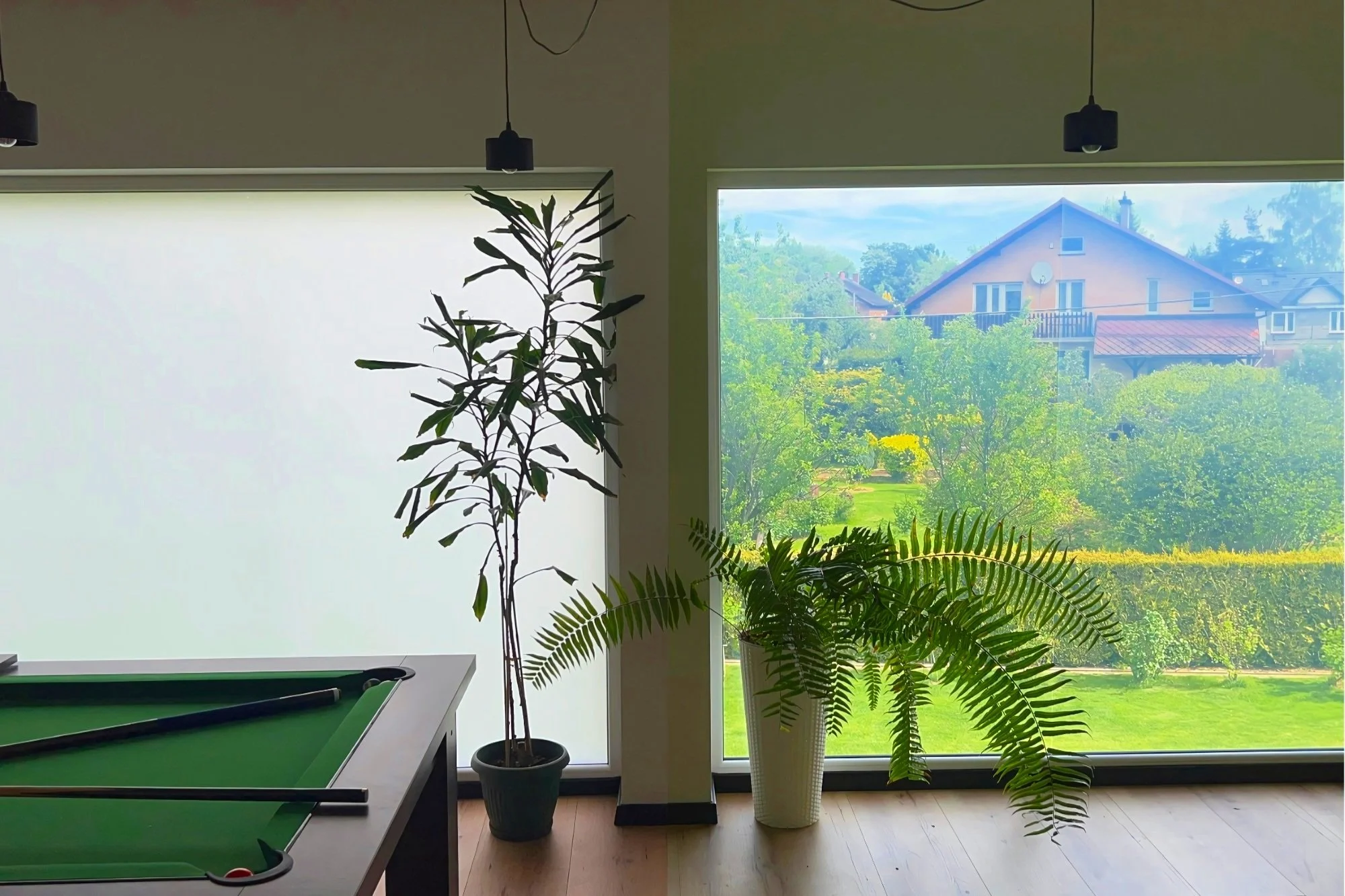 private-home-windows-film