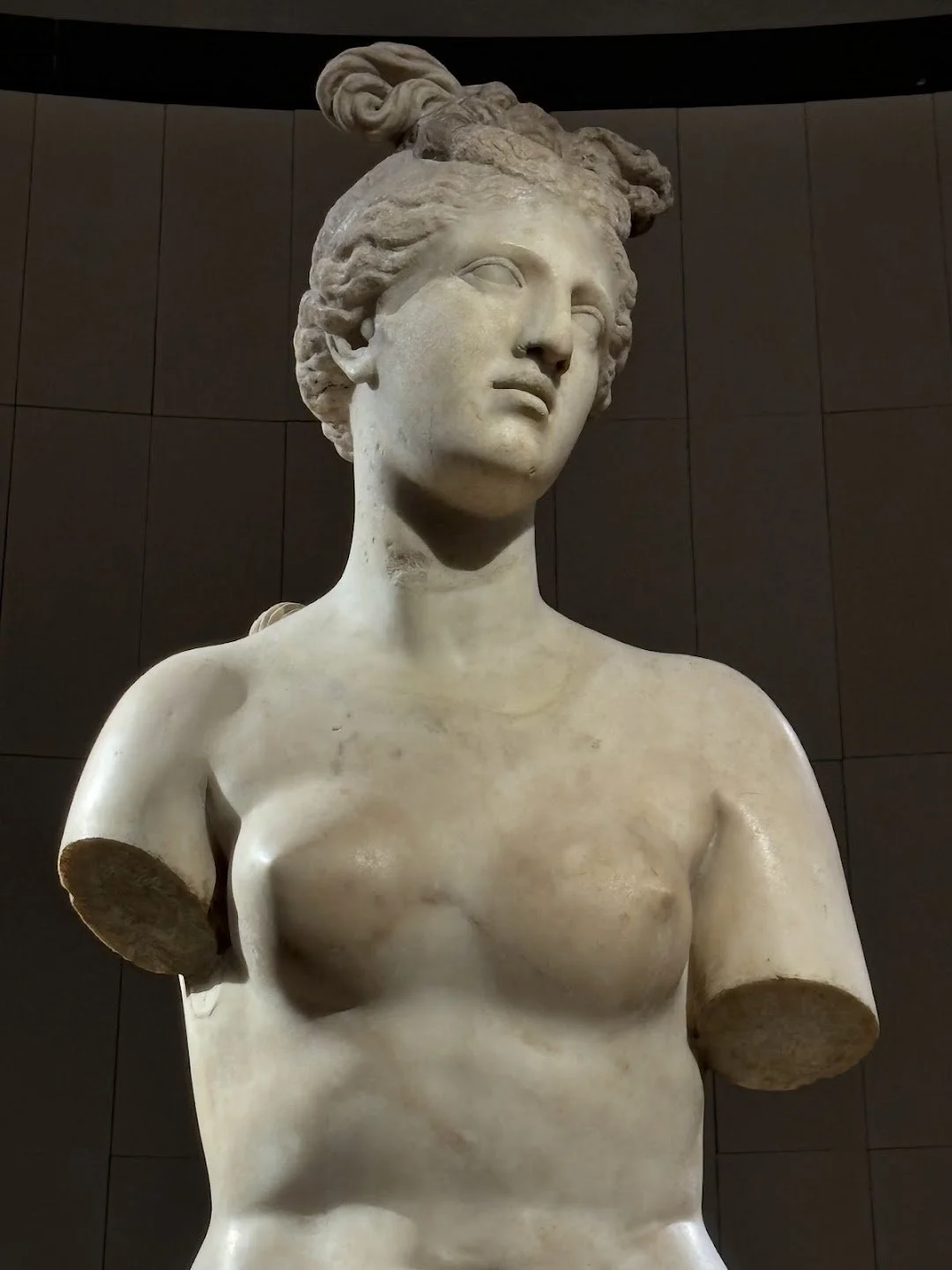 venus.jpg
