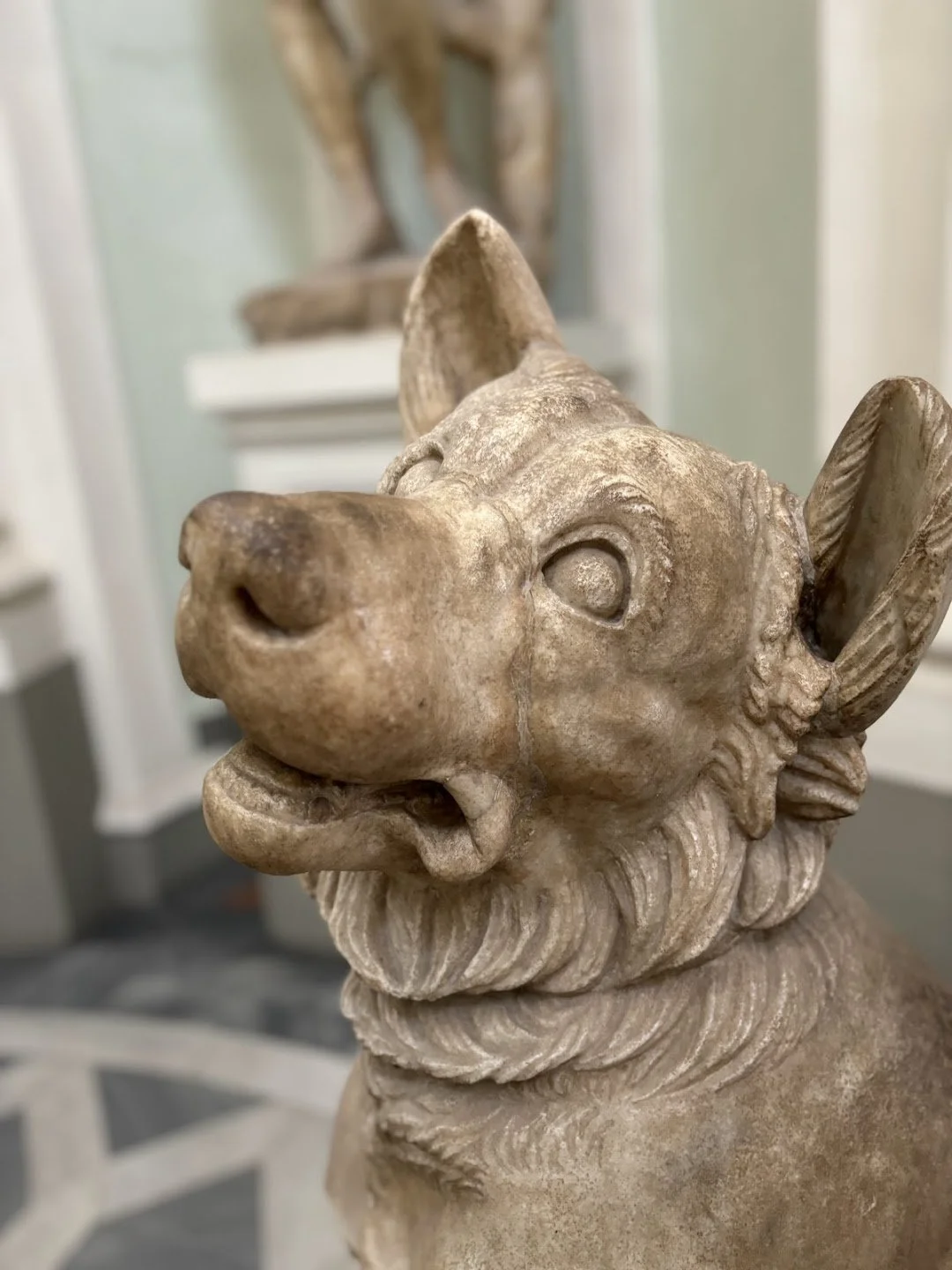 dog.jpg
