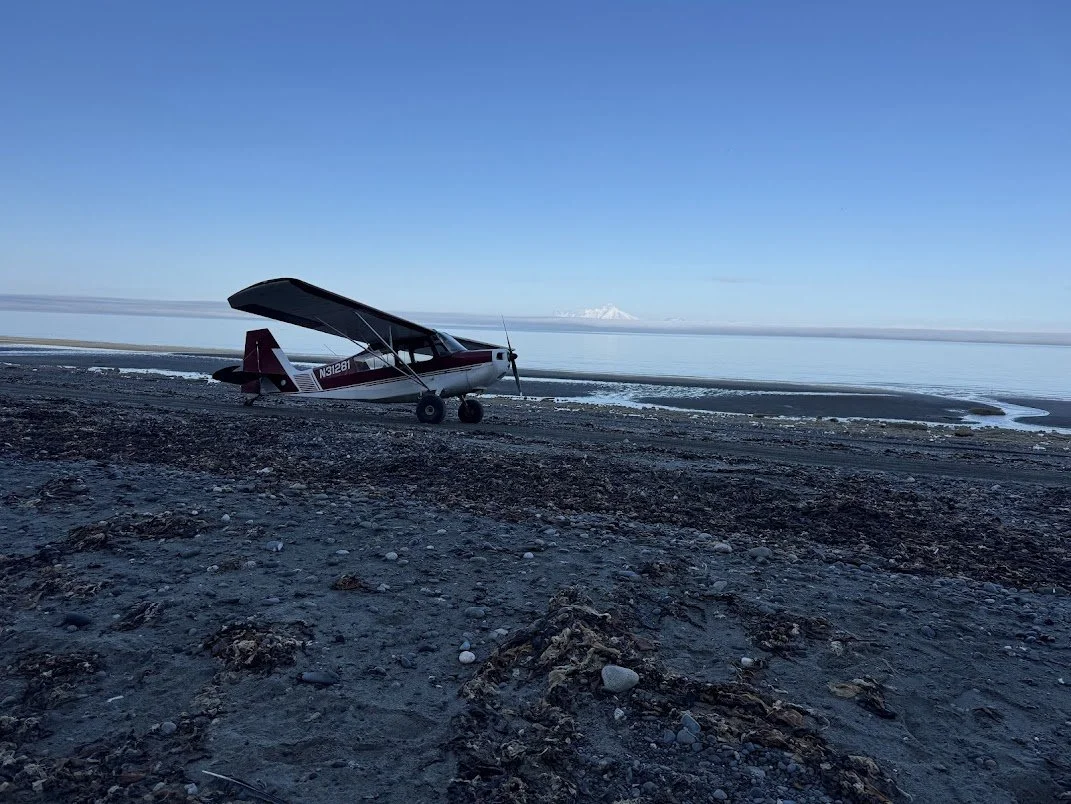 Small seaplane on rocky shore near a calm body of water with a snow-capped mountain in the background under a clear blue sky.